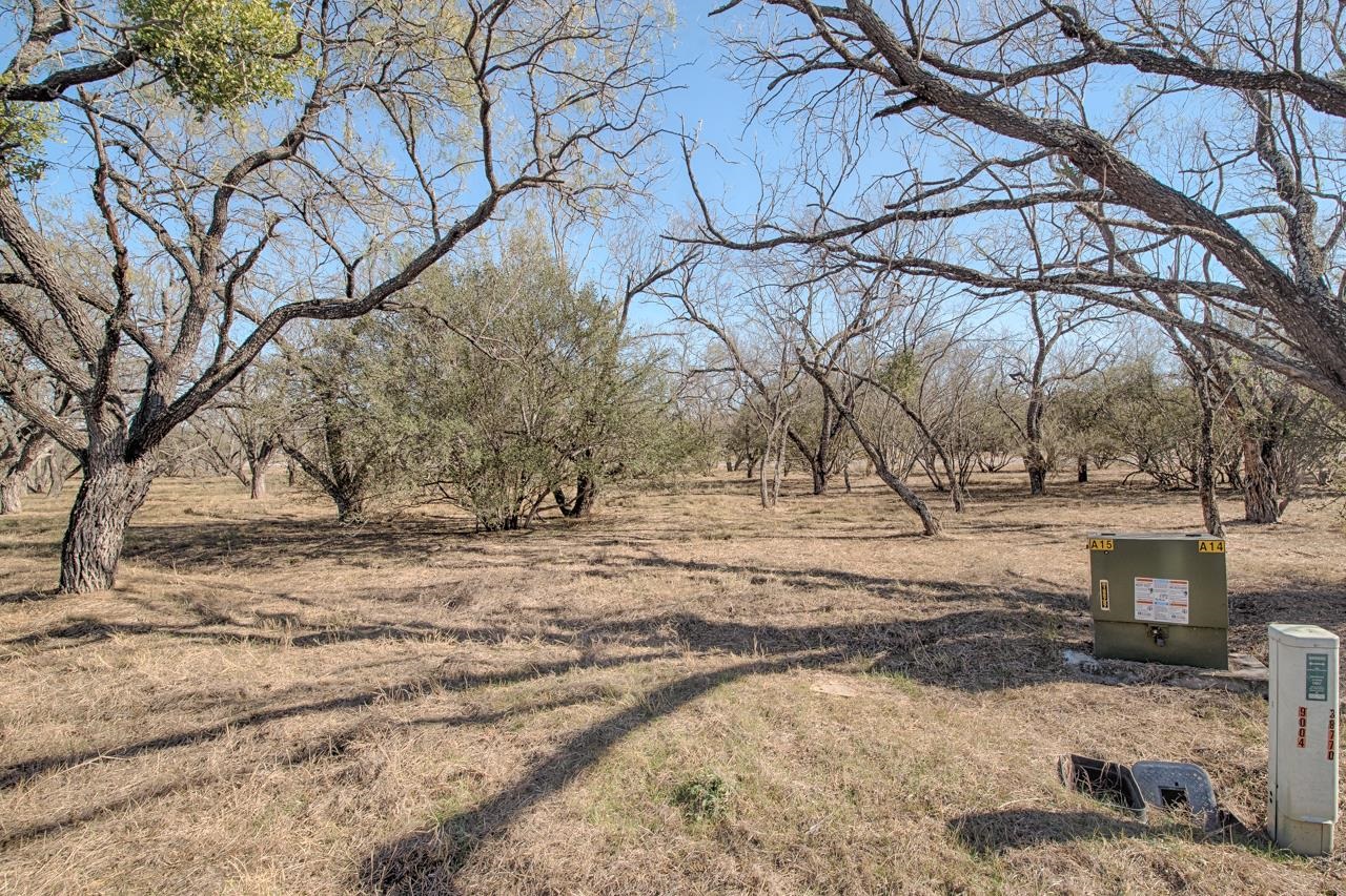 Lot 9005-a Springfield Property Photo 1