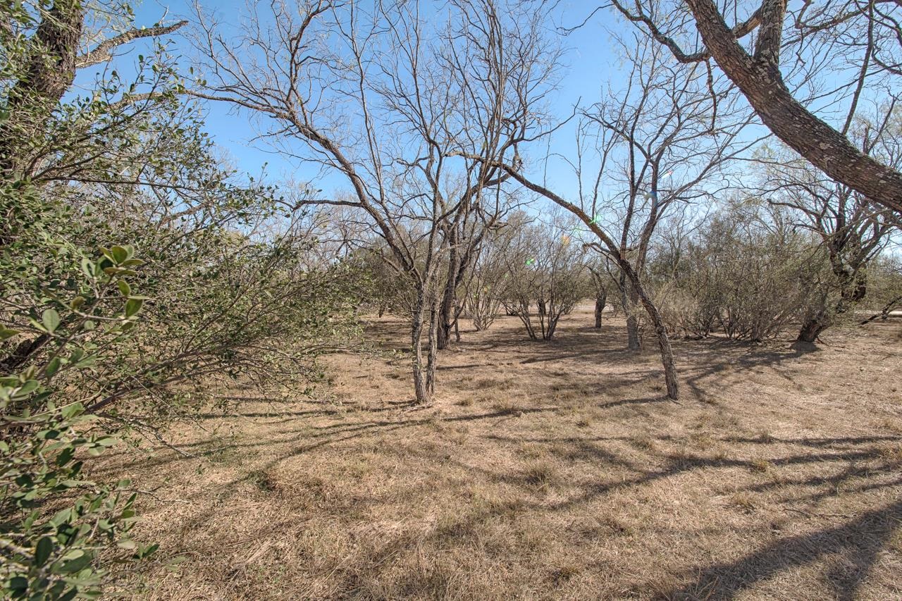 Lot 9005-a Springfield Property Photo 2