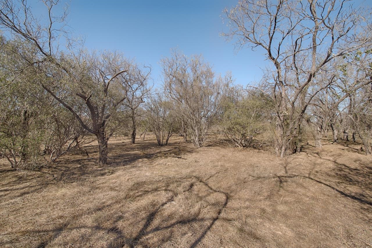 Lot 9005-a Springfield Property Photo 3