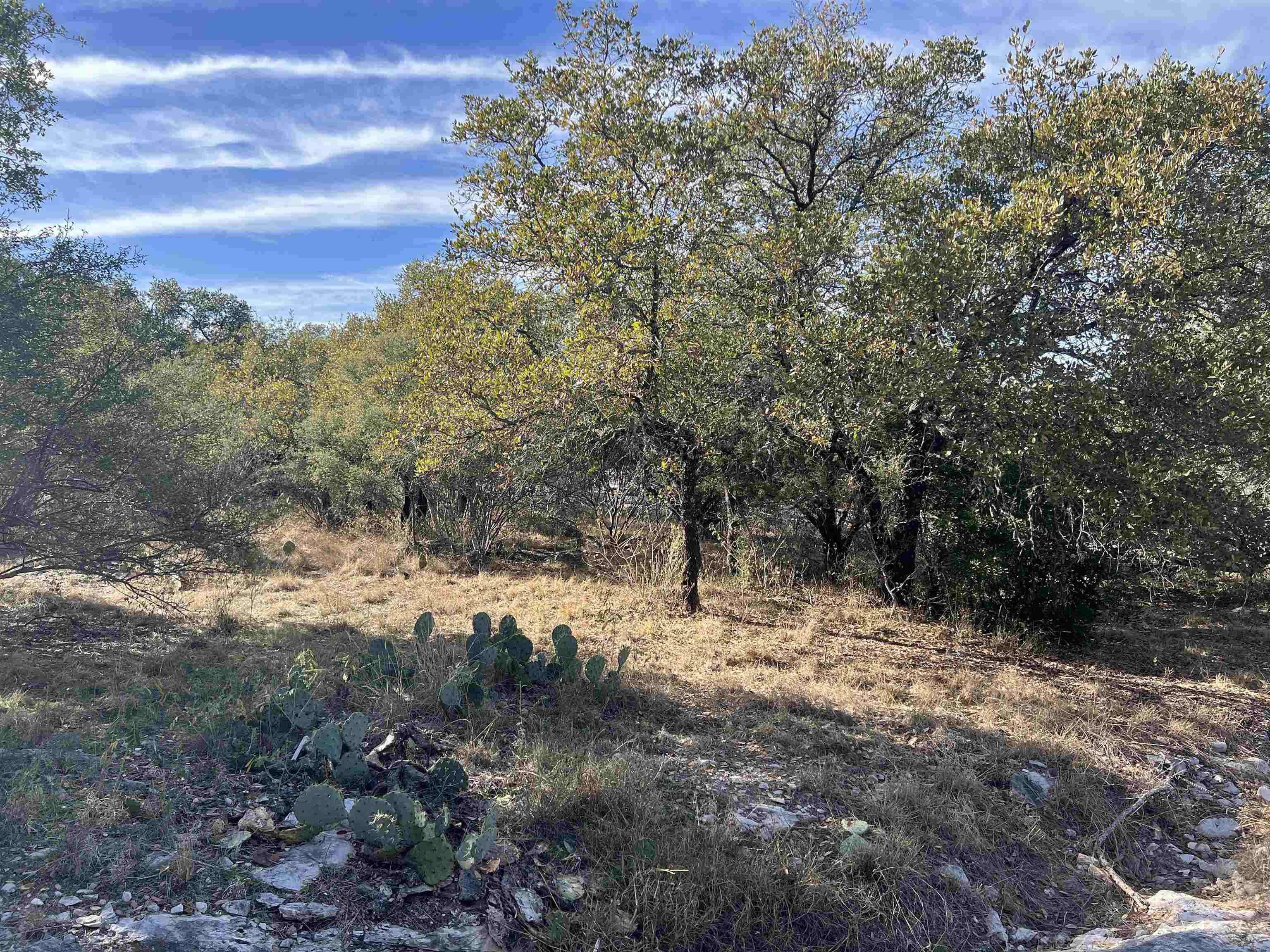 607 Hsb North/aka Highlands Blvd Boulevard Property Photo 3