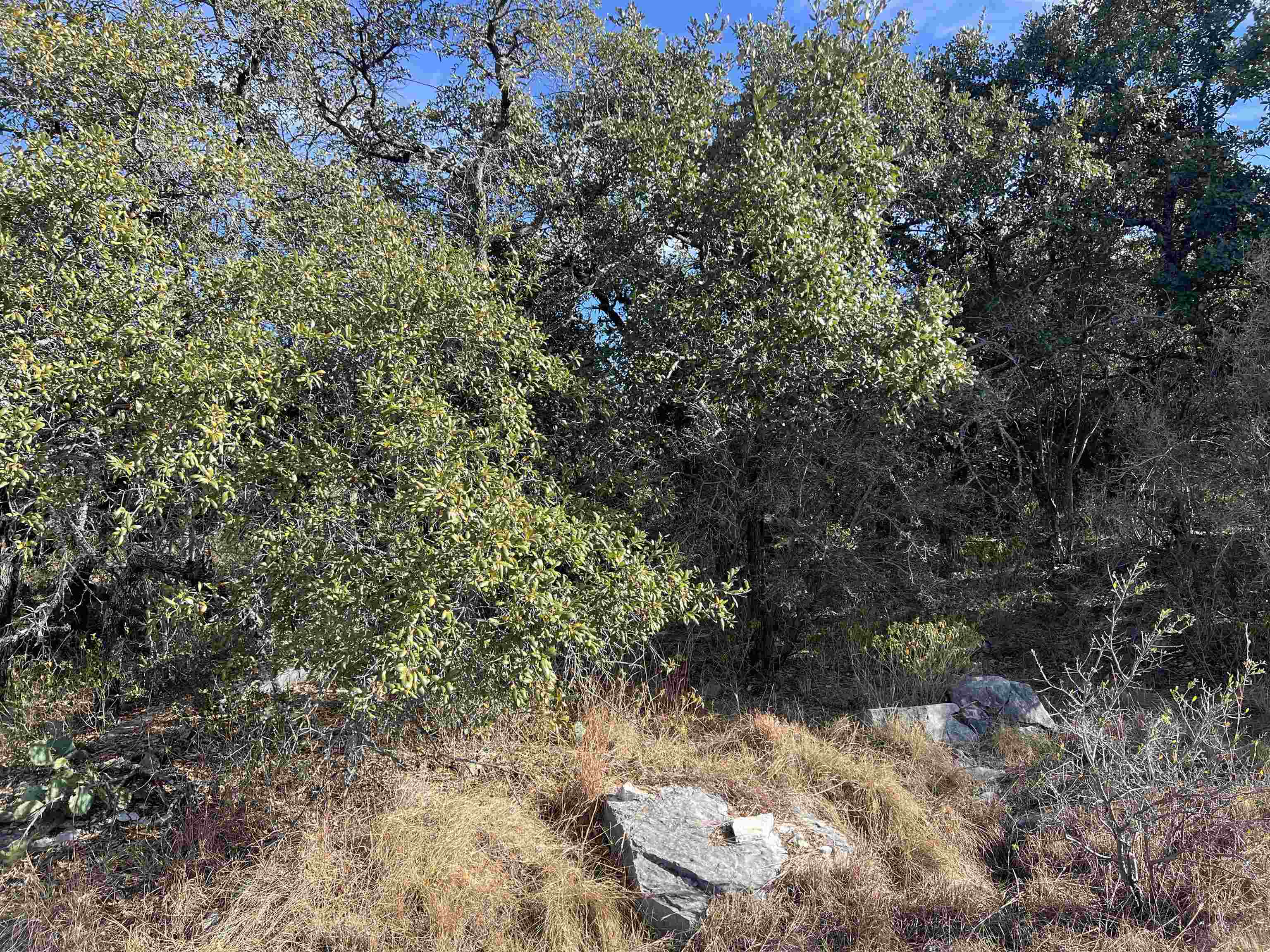 607 Hsb North/aka Highlands Blvd Boulevard Property Photo 4