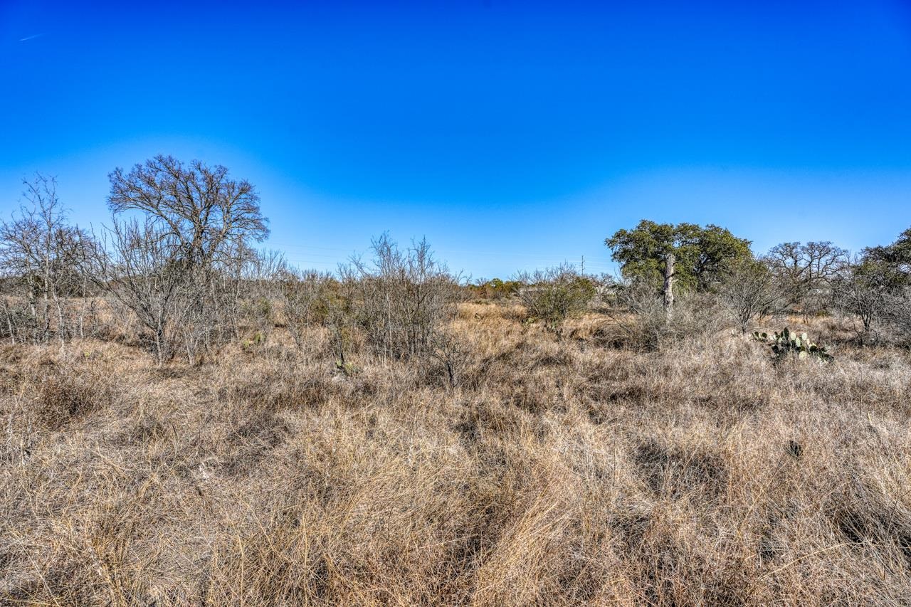 6.4 Acres Hwy 29 Property Photo 3
