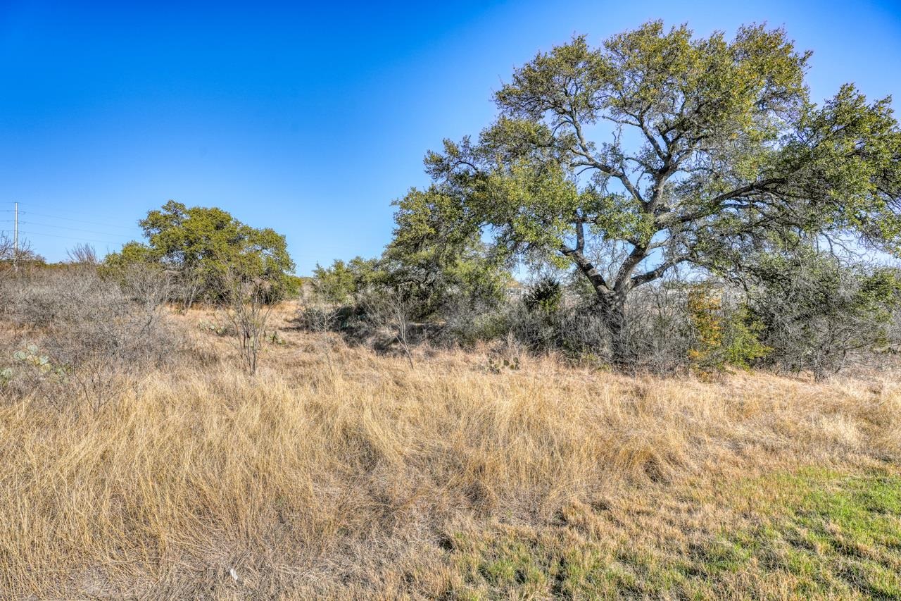 6.4 Acres Hwy 29 Property Photo 4