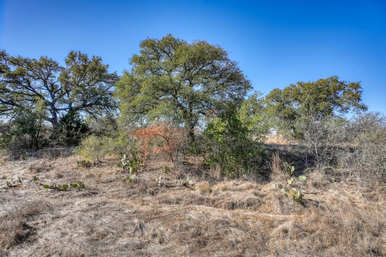 6.4 Acres Hwy 29 Property Photo 5
