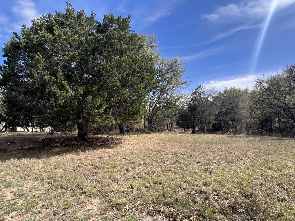 217 Cactus Corner Property Photo 1