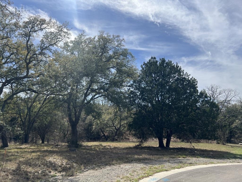217 Cactus Corner Property Photo 3