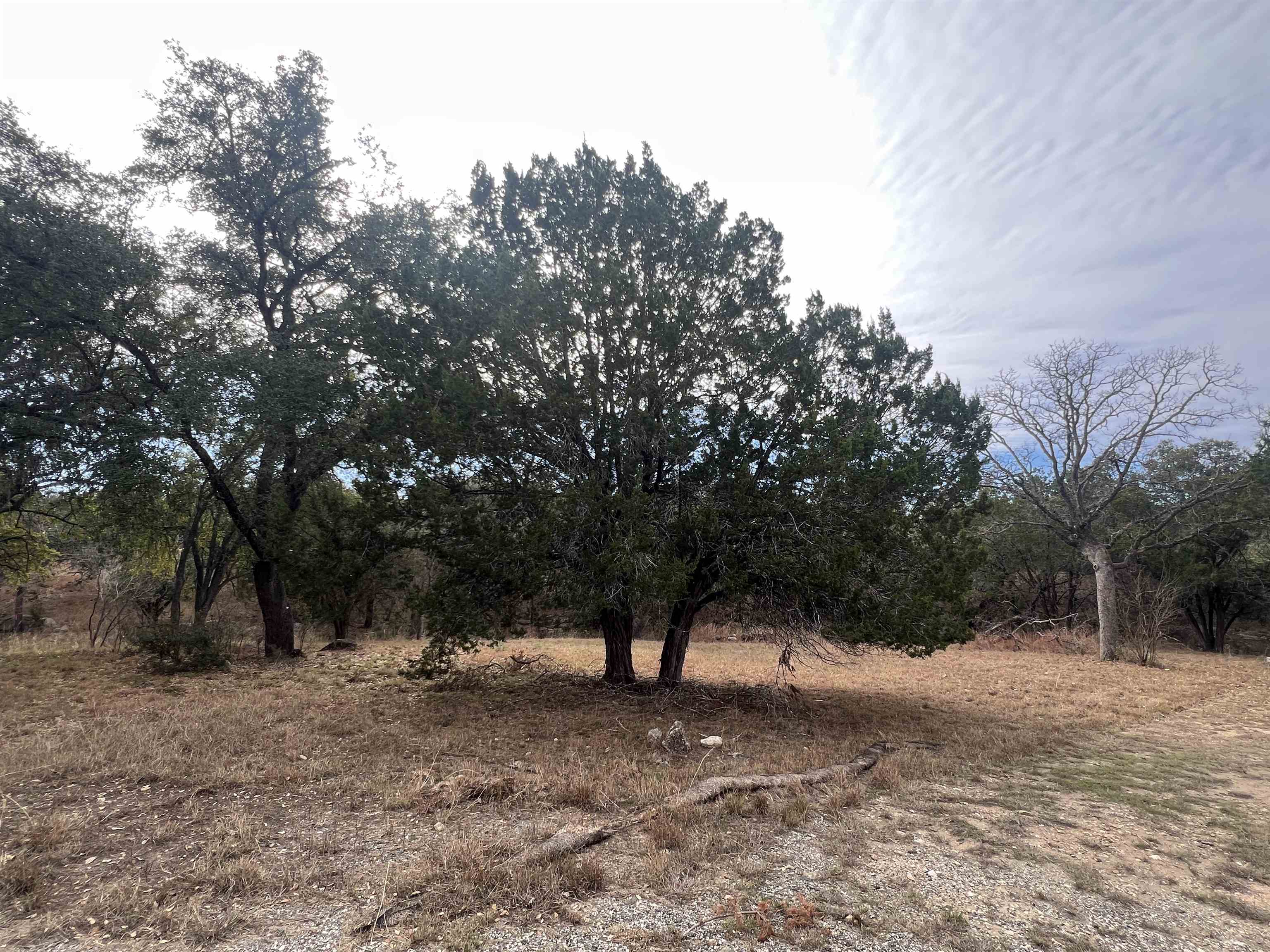 217 Cactus Corner Property Photo 6