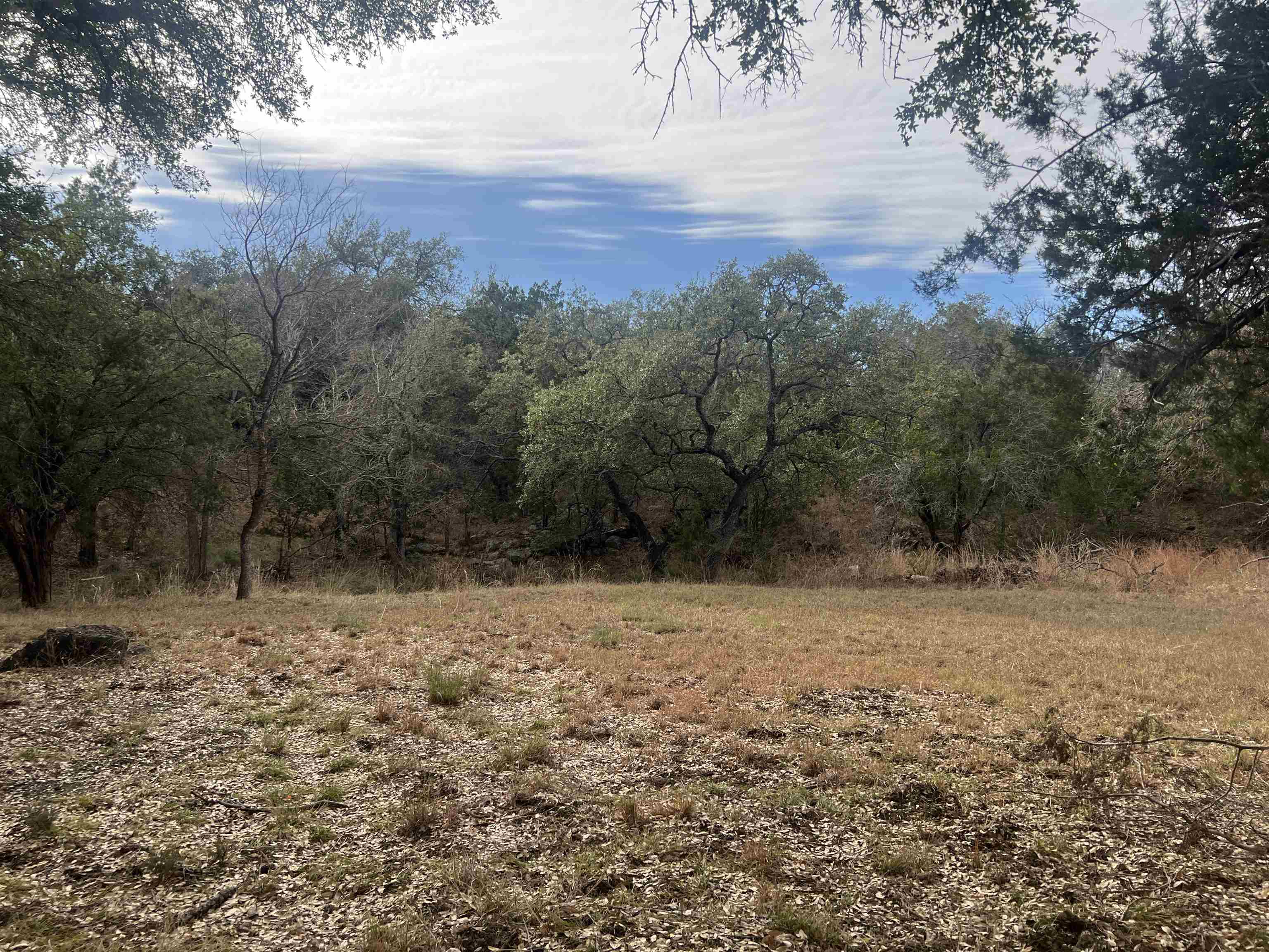 217 Cactus Corner Property Photo 7