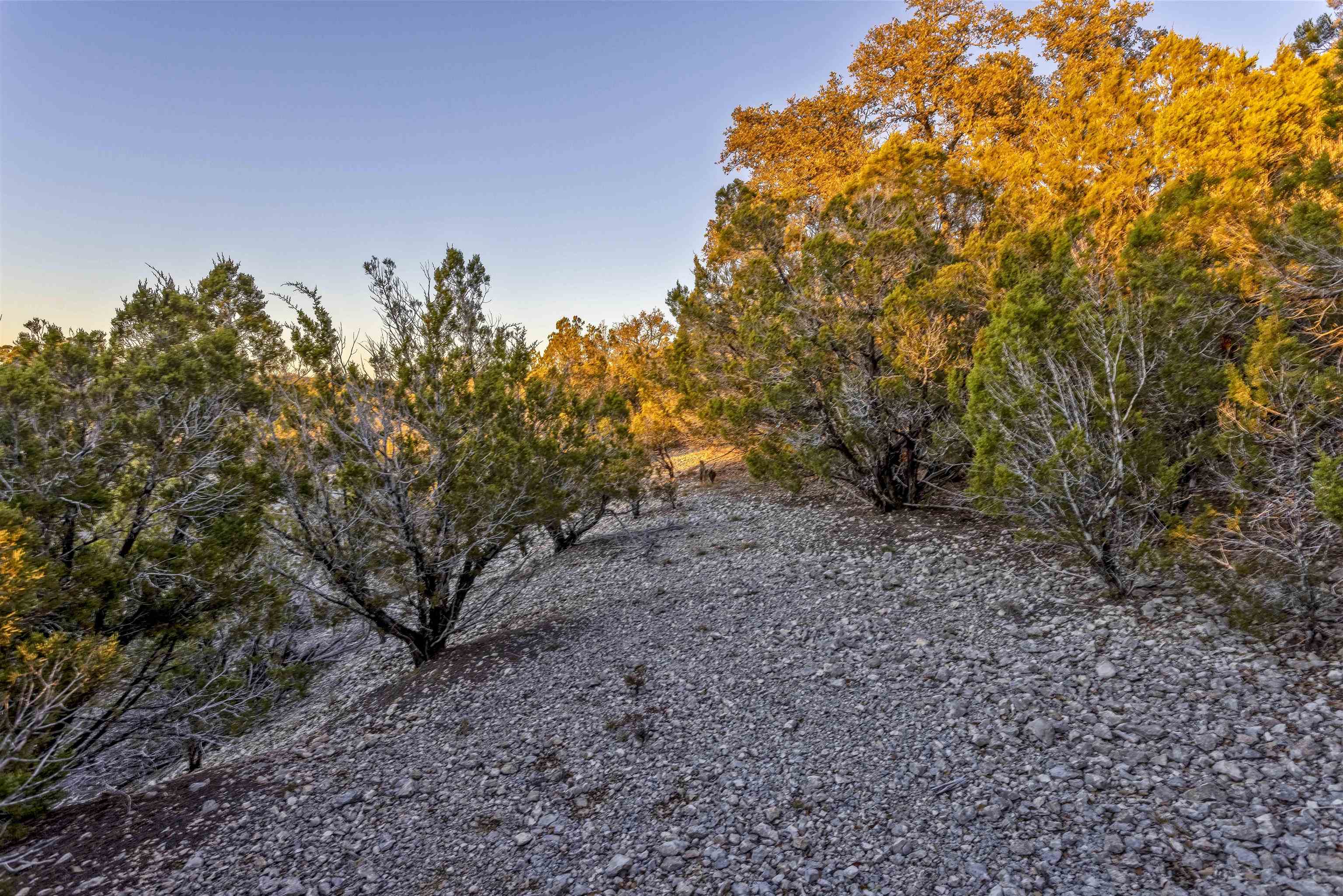 Lot 1 County Road 108 Property Photo 7