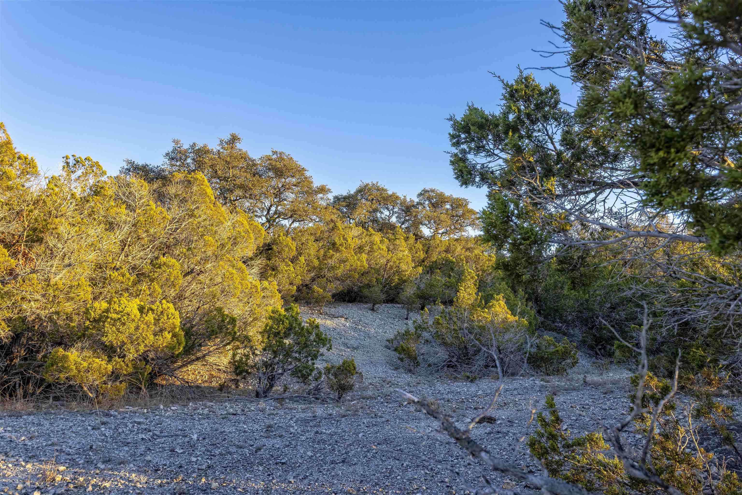 Lot 1 County Road 108 Property Photo 8