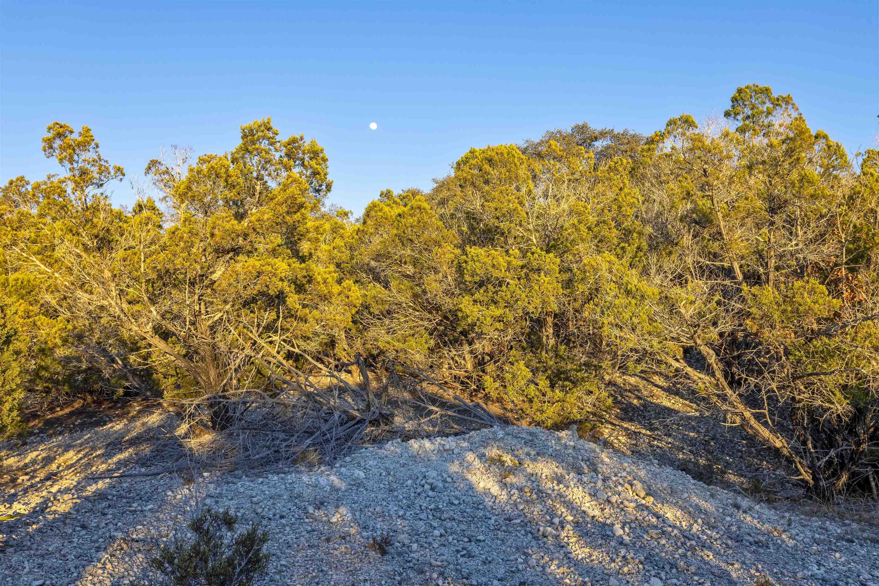 Lot 1 County Road 108 Property Photo 9