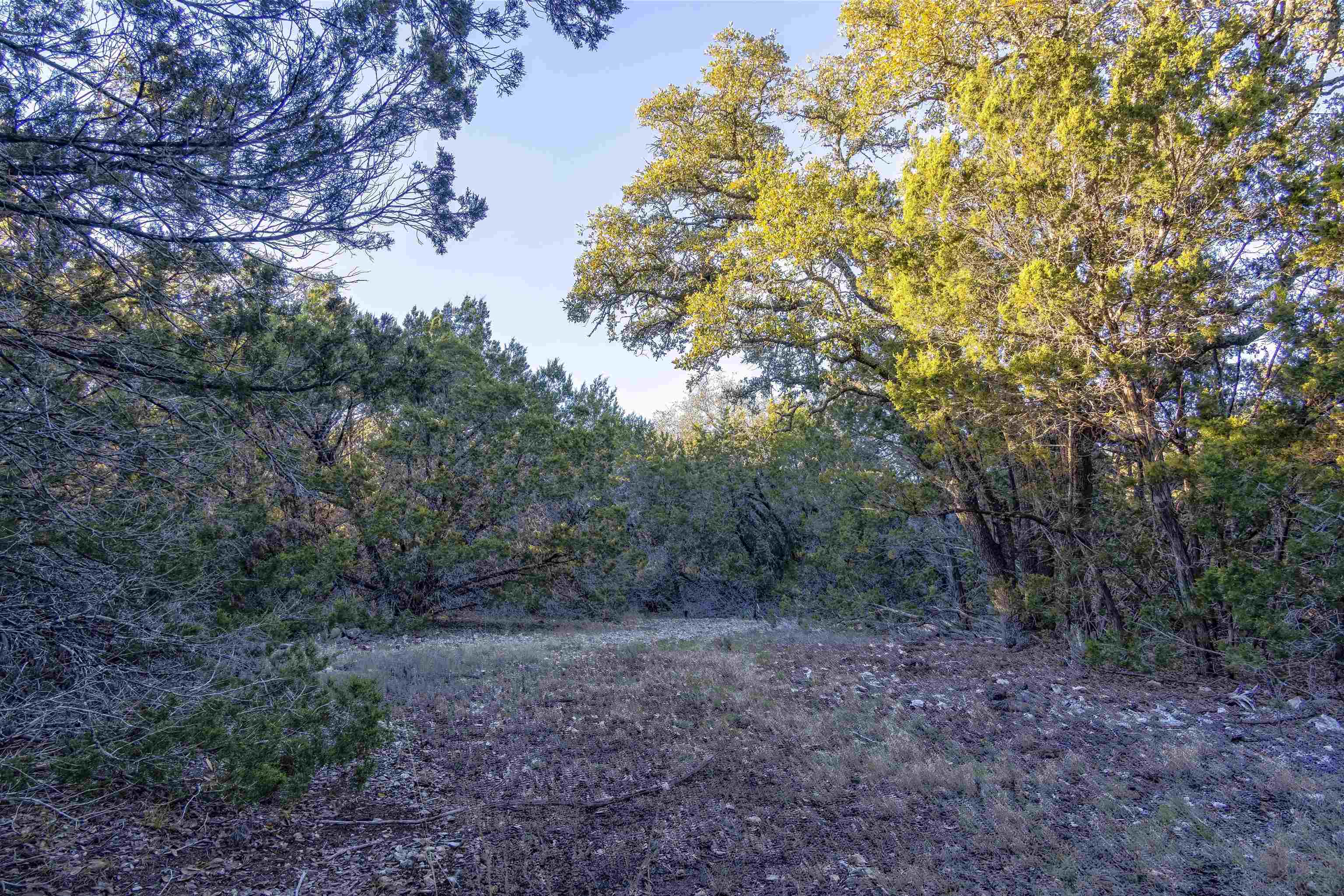 Lot 1 County Road 108 Property Photo 10