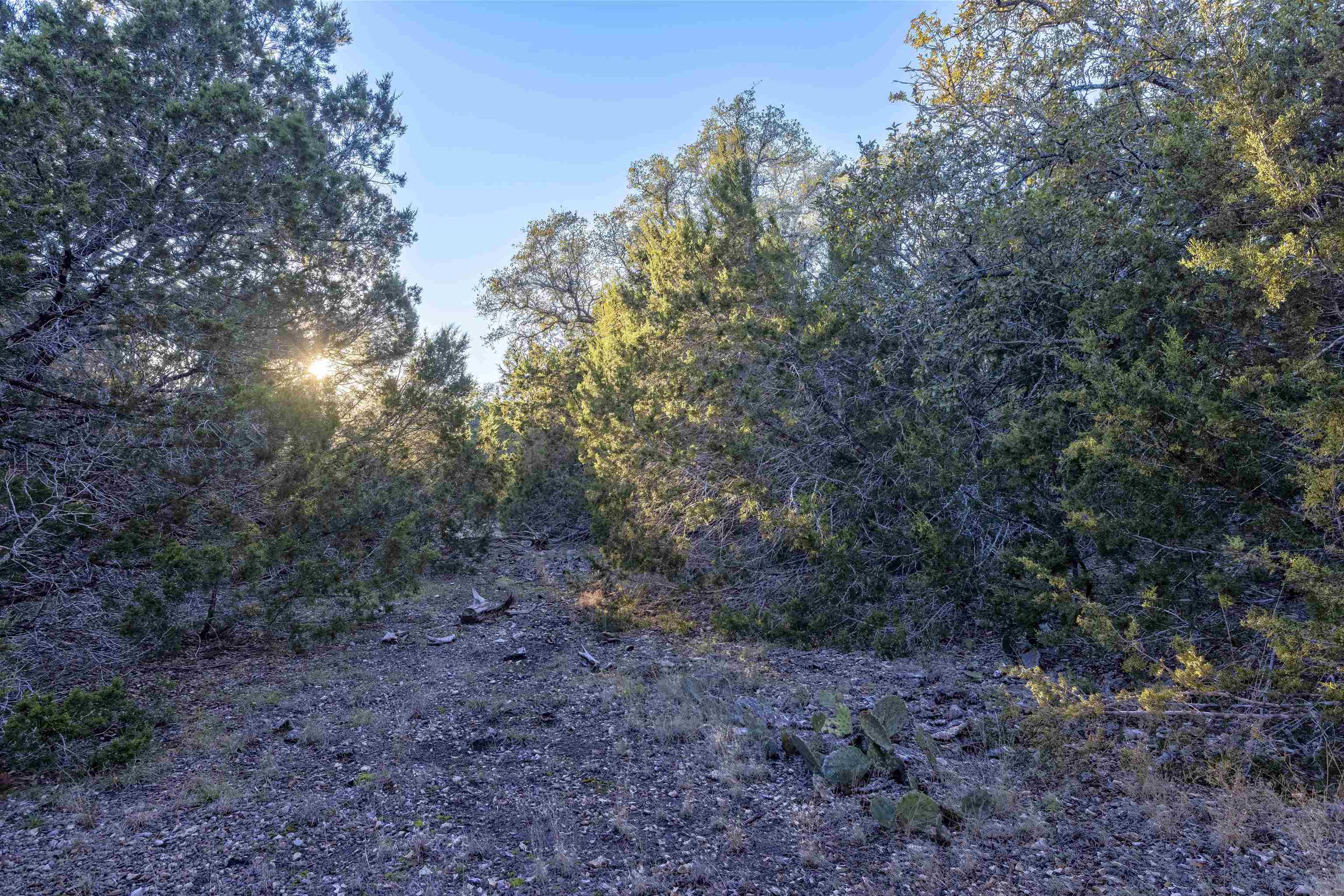 Lot 1 County Road 108 Property Photo 11