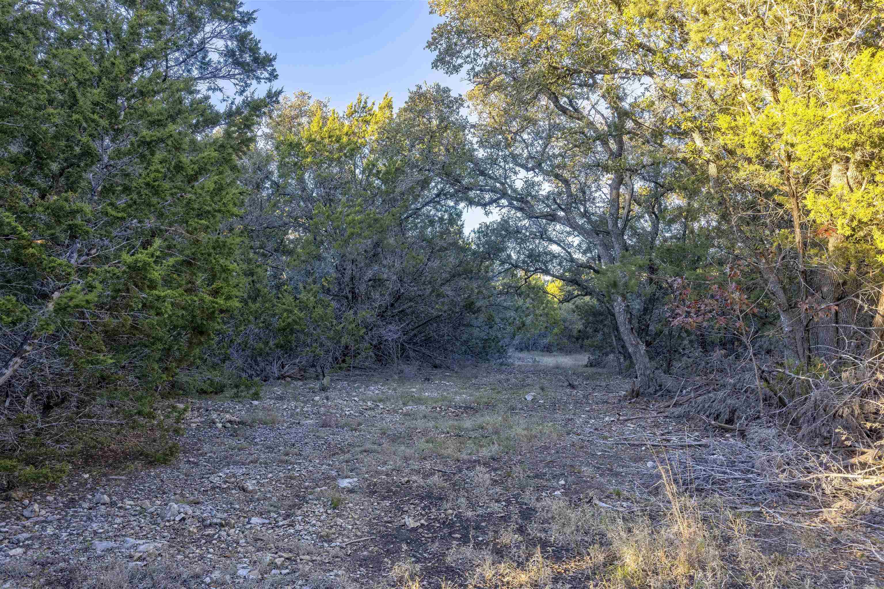 Lot 1 County Road 108 Property Photo 12