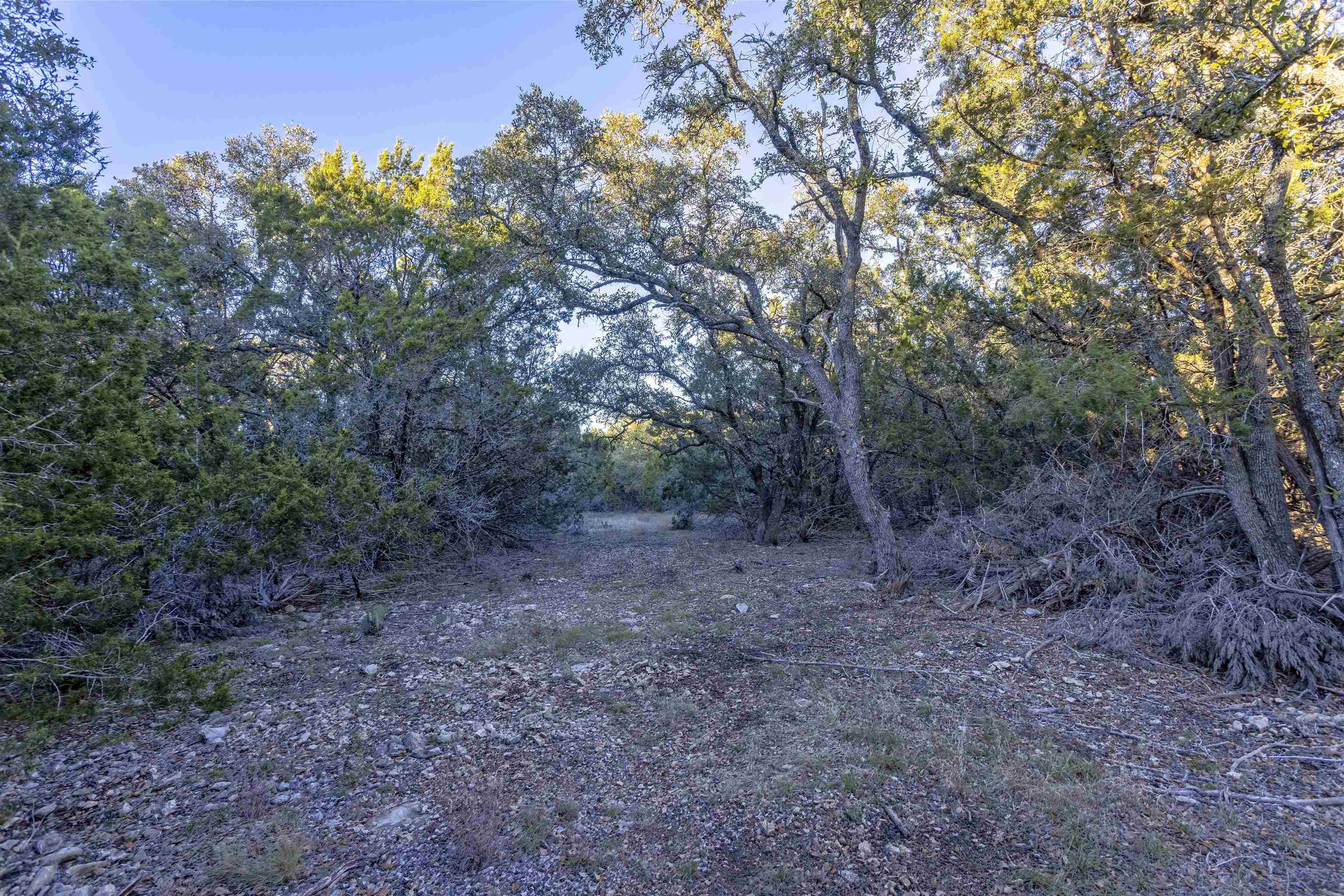 Lot 1 County Road 108 Property Photo 13