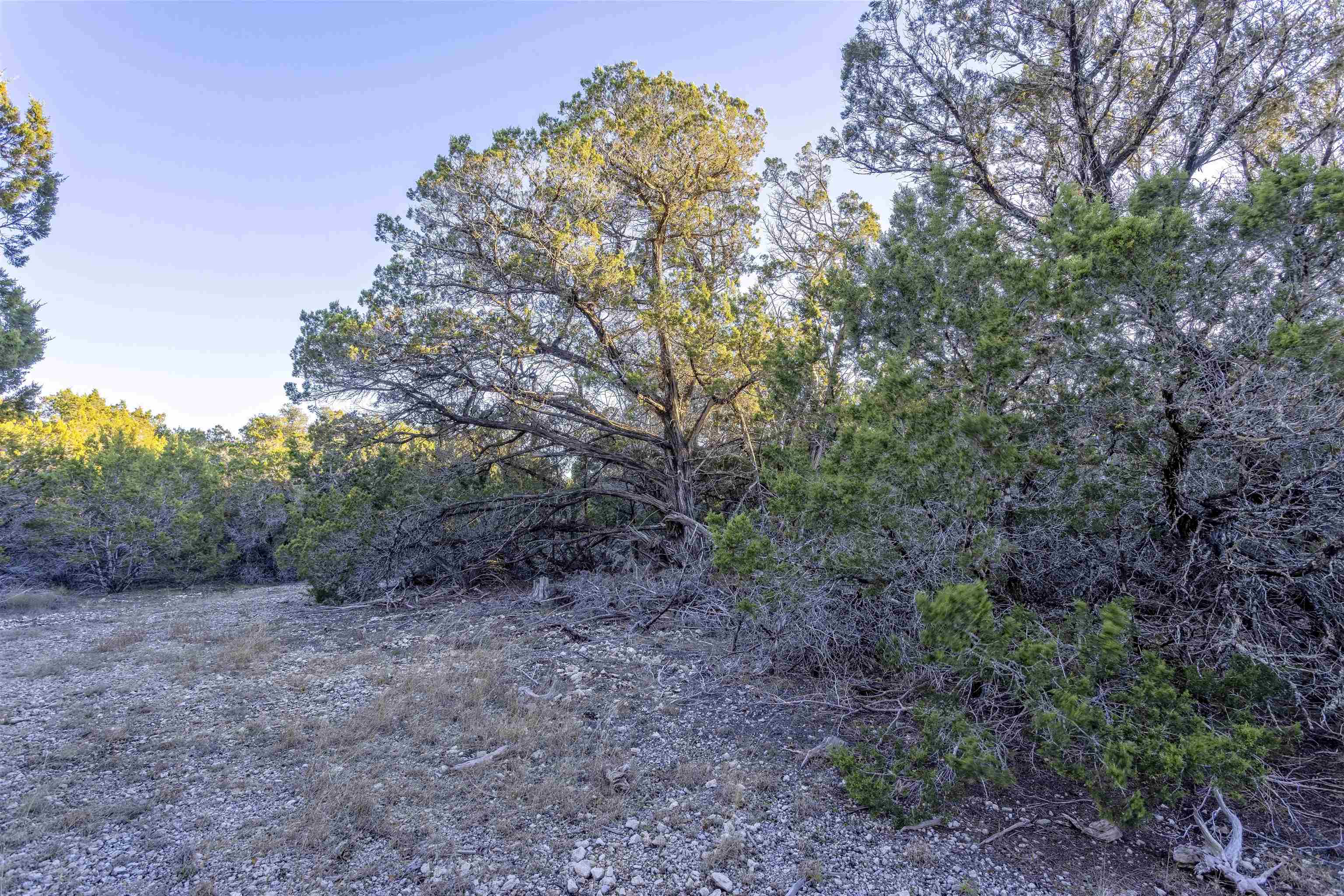 Lot 1 County Road 108 Property Photo 14