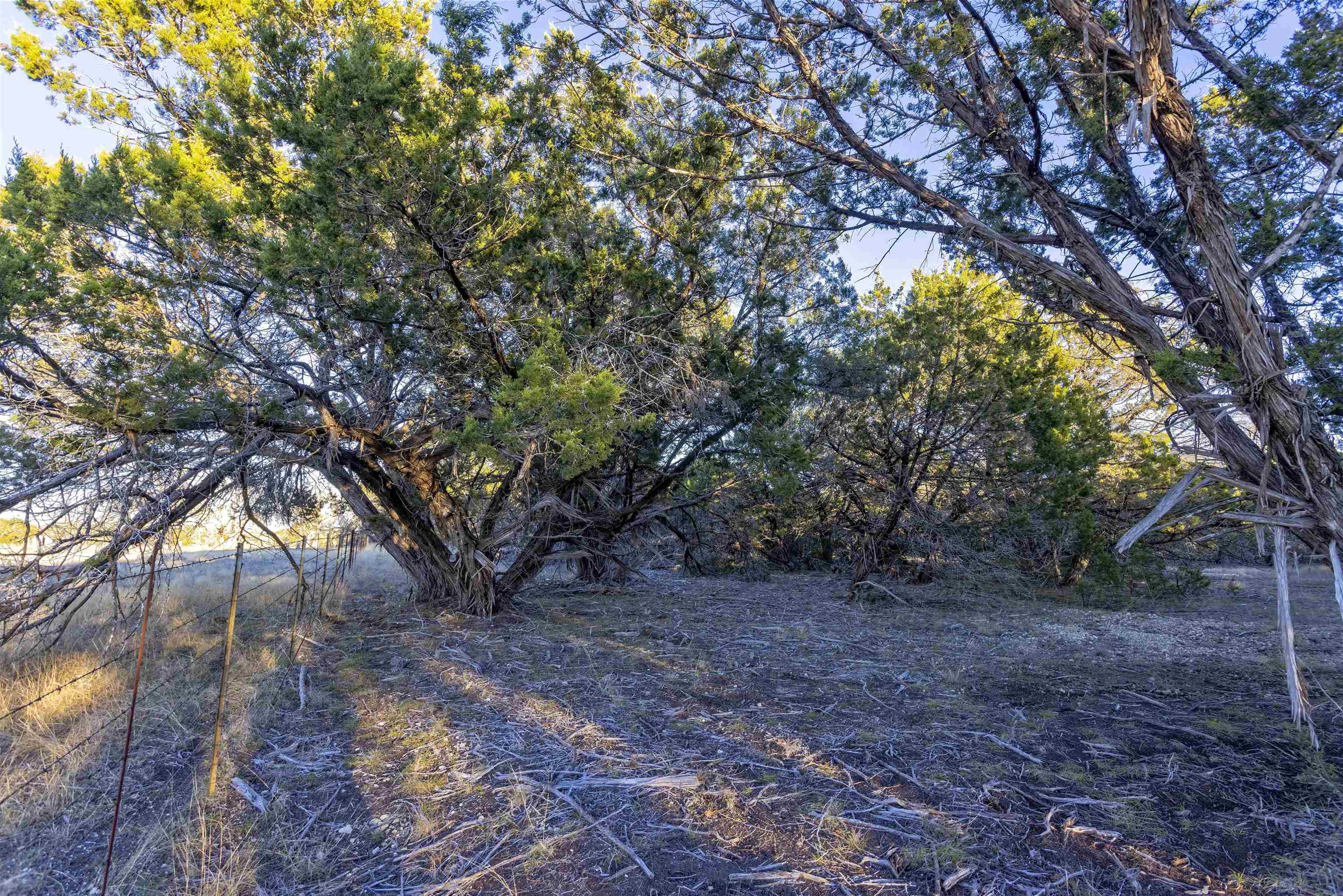 Lot 1 County Road 108 Property Photo 15