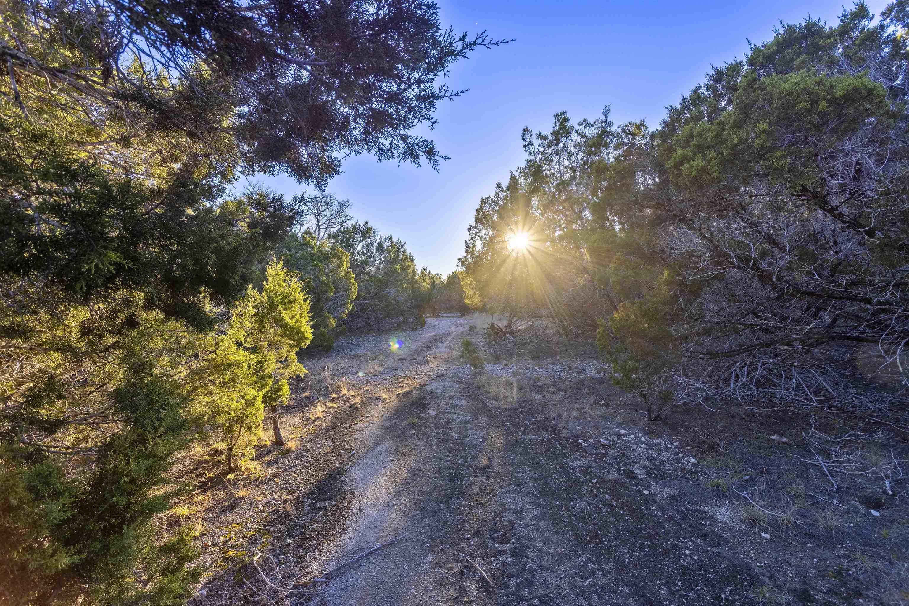 Lot 1 County Road 108 Property Photo 16