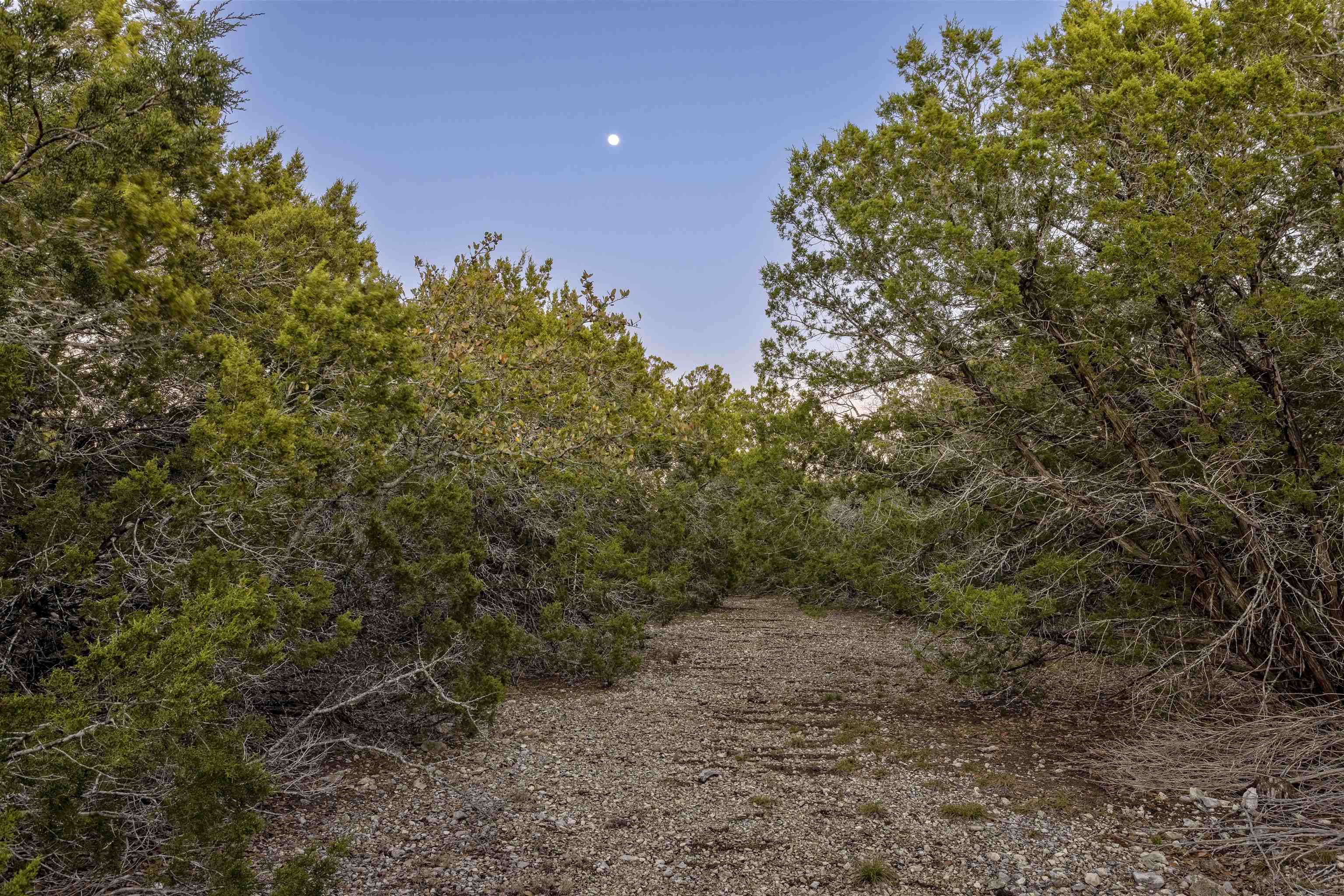 Lot 1 County Road 108 Property Photo 23