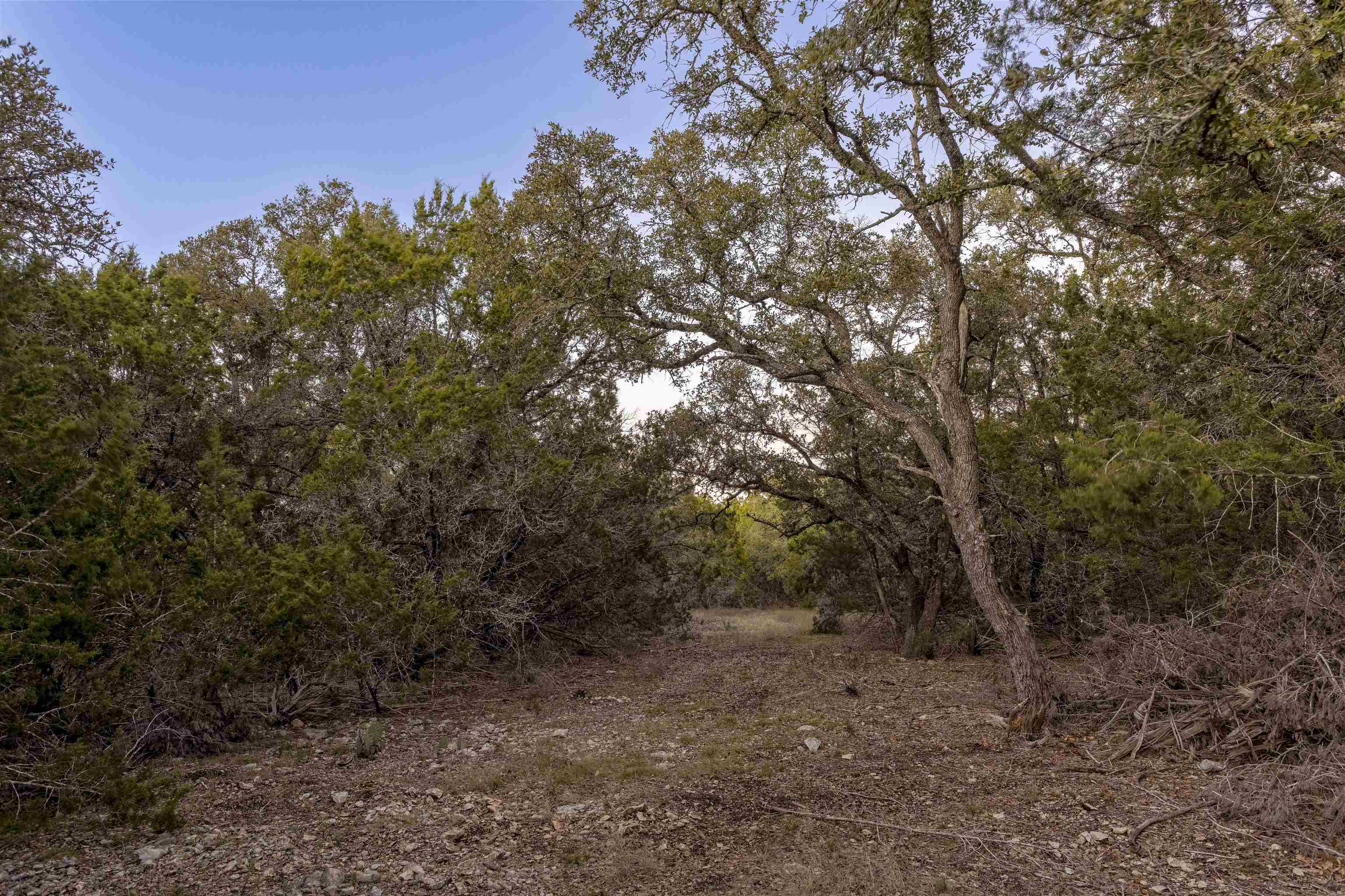 Lot 1 County Road 108 Property Photo 24