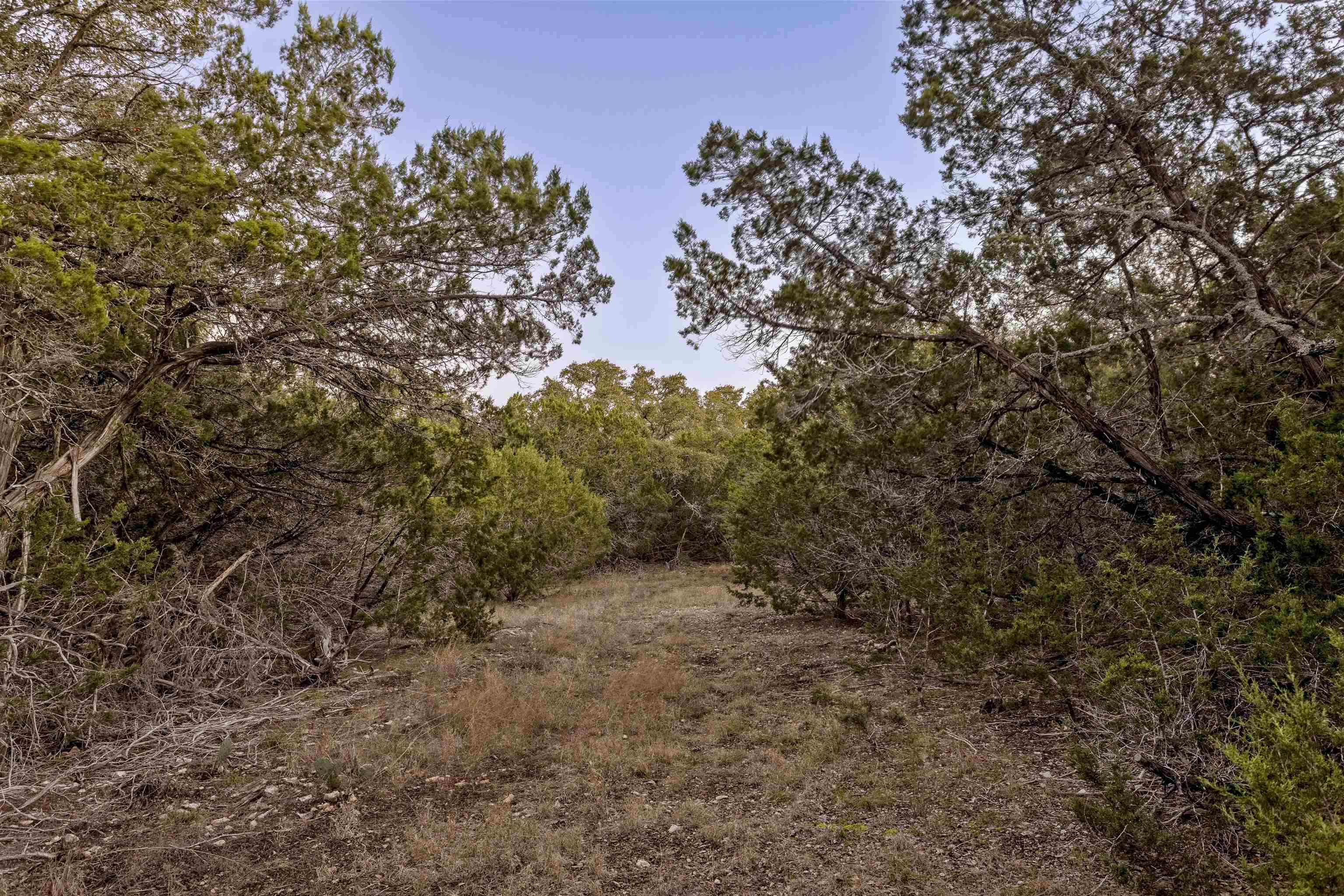Lot 1 County Road 108 Property Photo 25