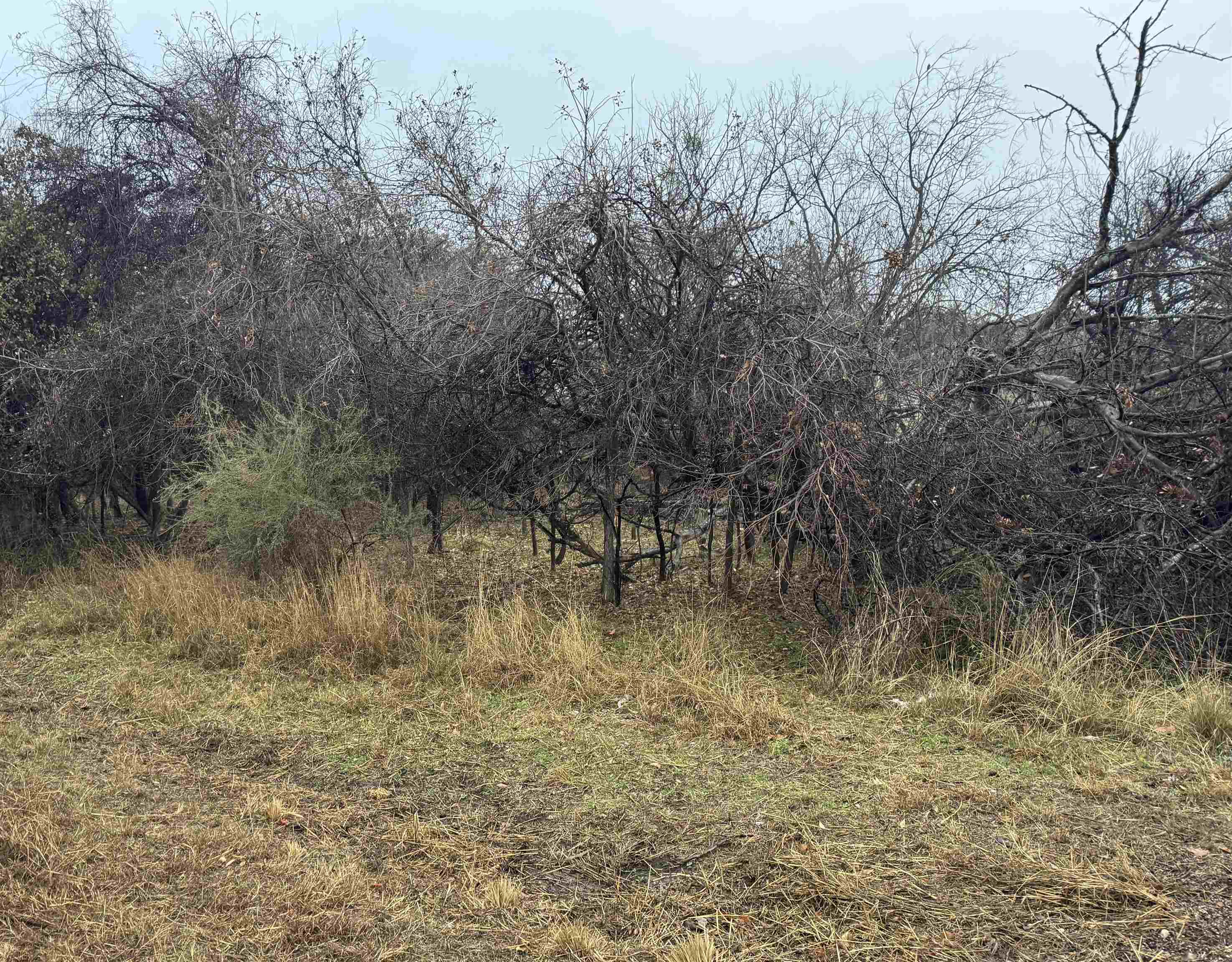 Lot 214 215 216 Northcrest Drive Property Photo 2