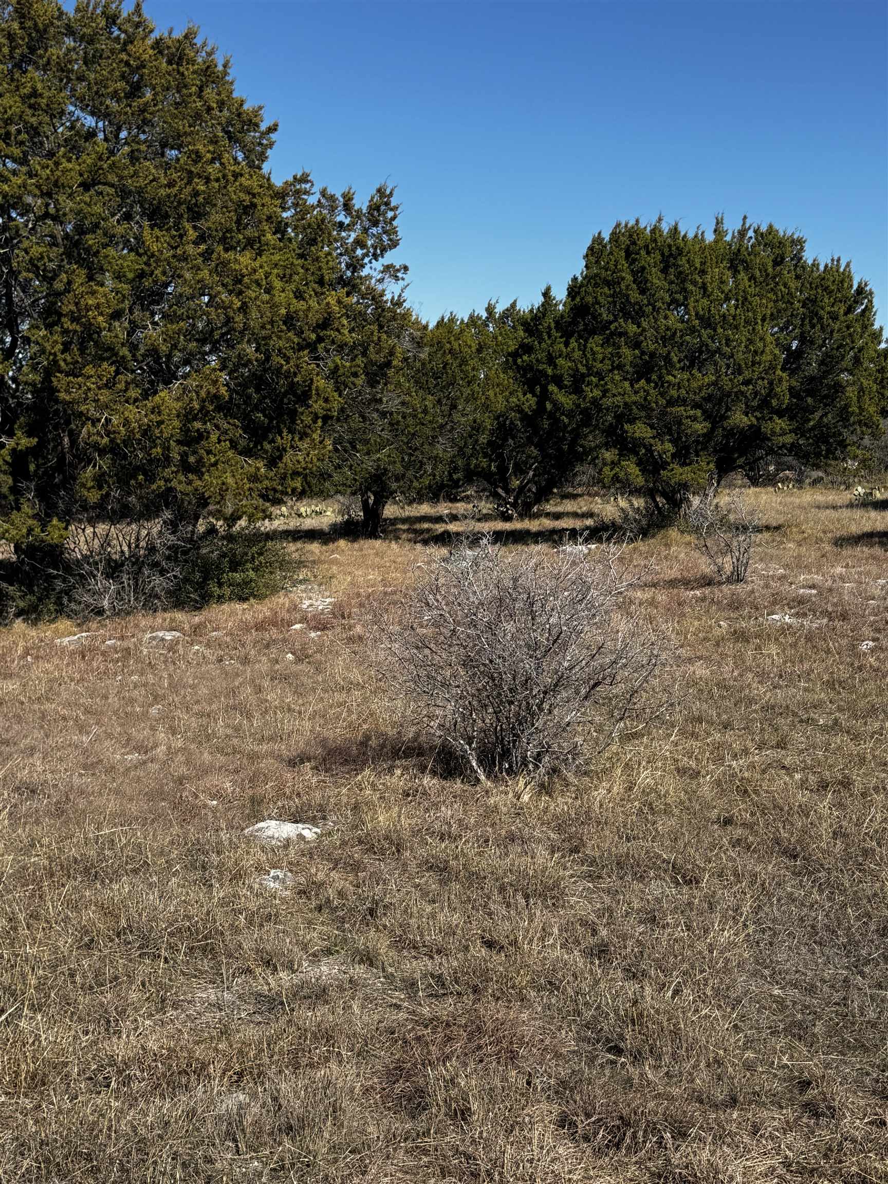 22276 Westward Ho/silvermane Property Photo 3