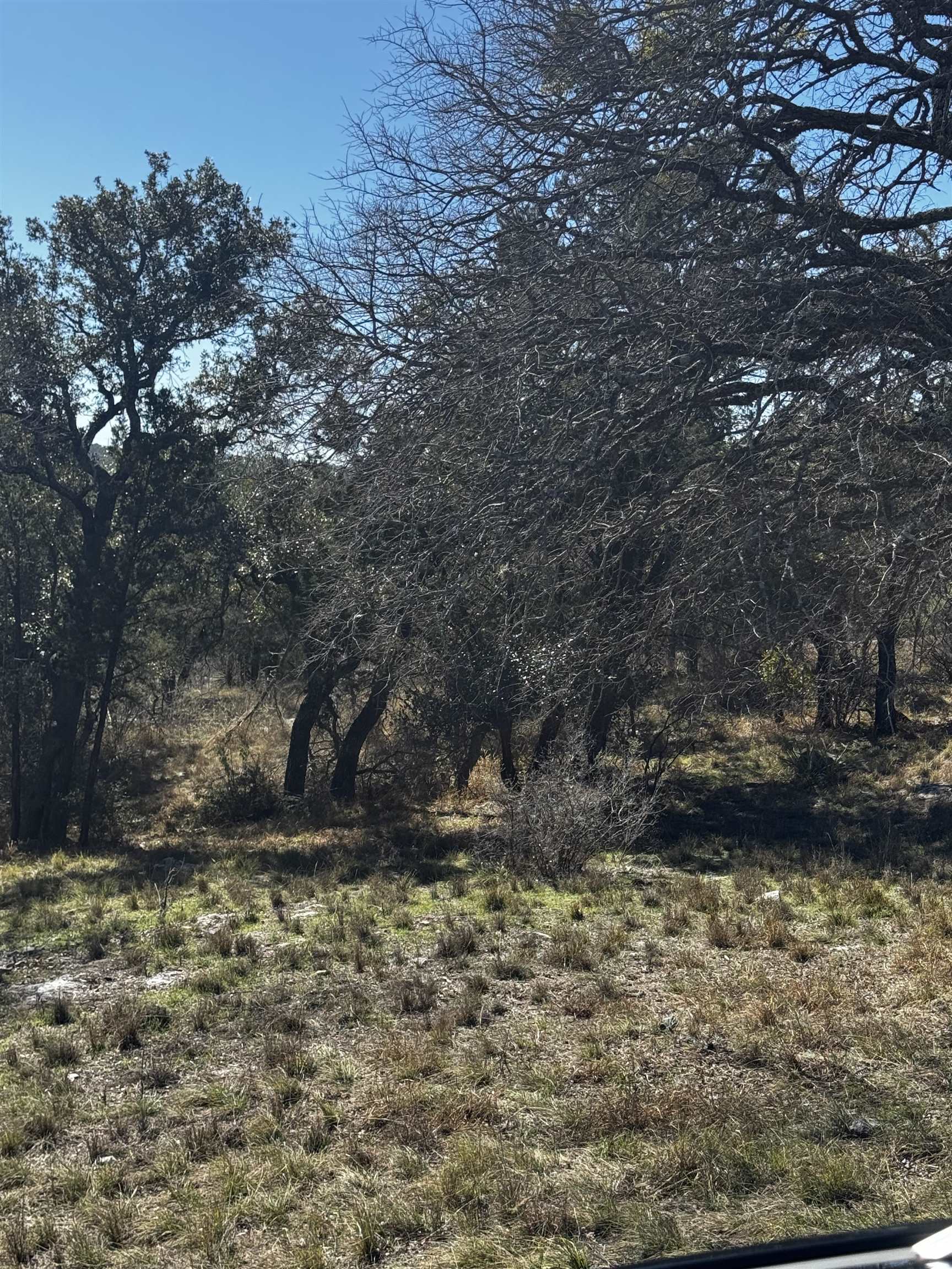 717 Sidewinder Property Photo 3