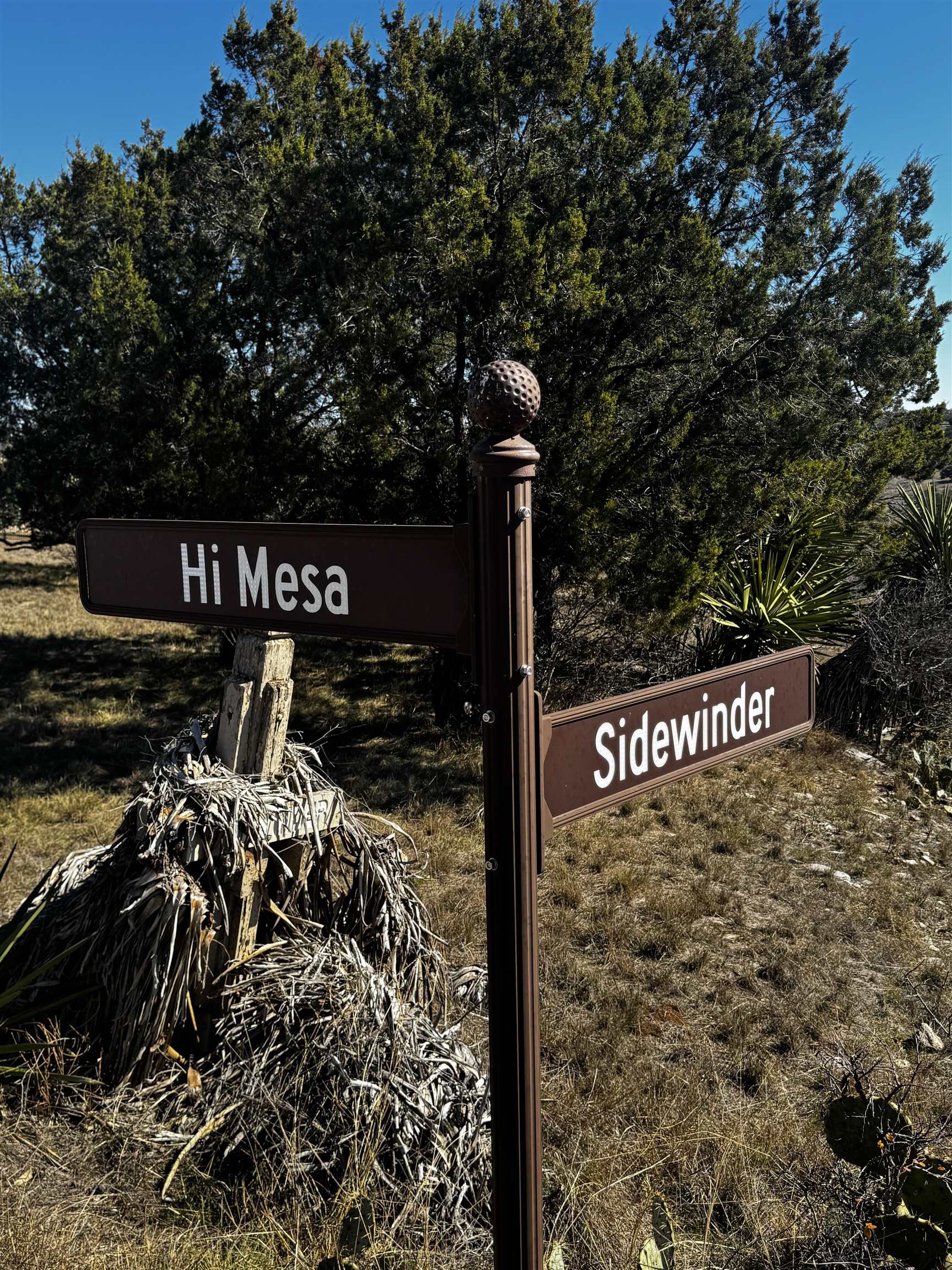 717 Sidewinder Property Photo 4