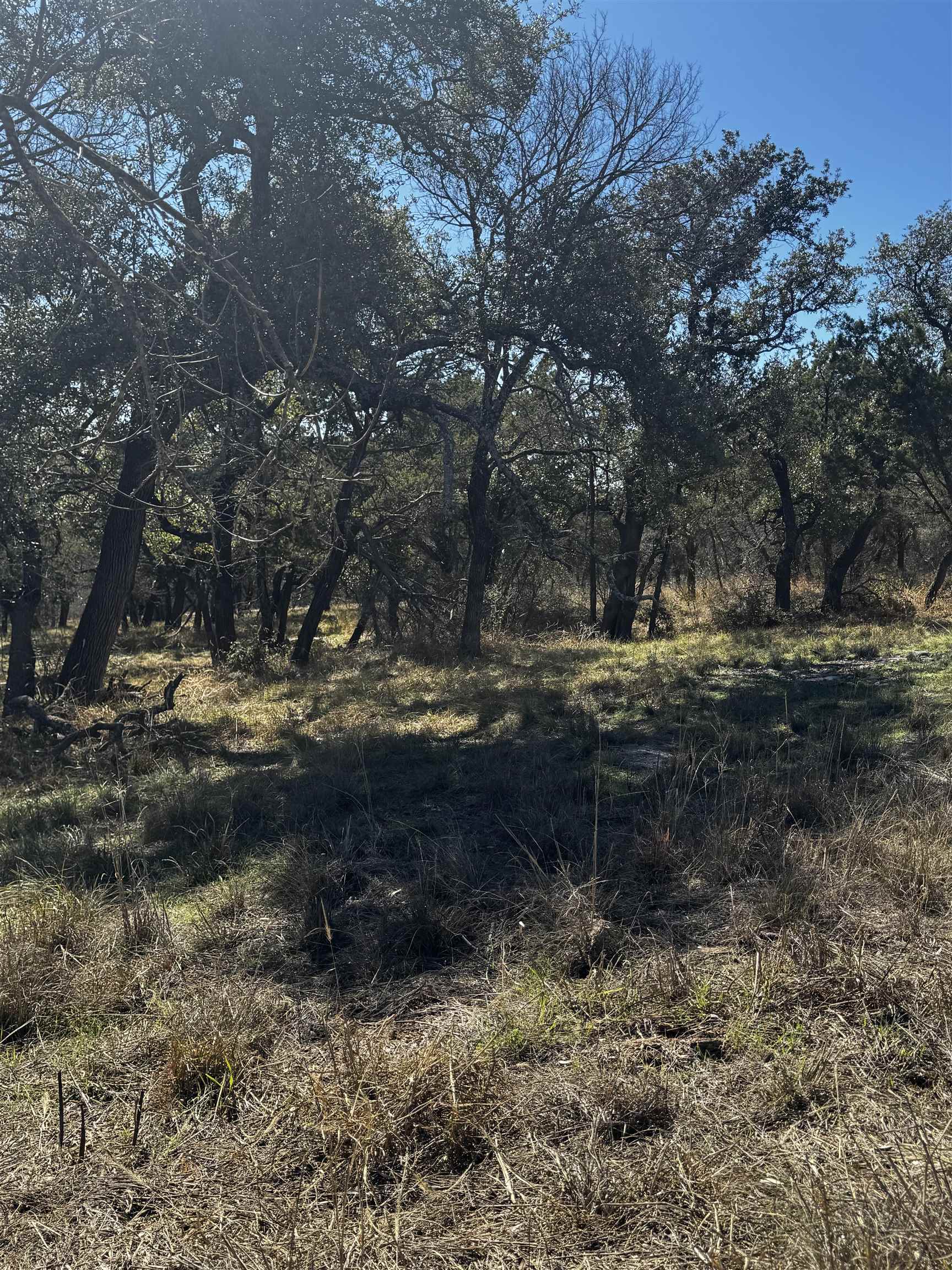 717 Sidewinder Property Photo 6