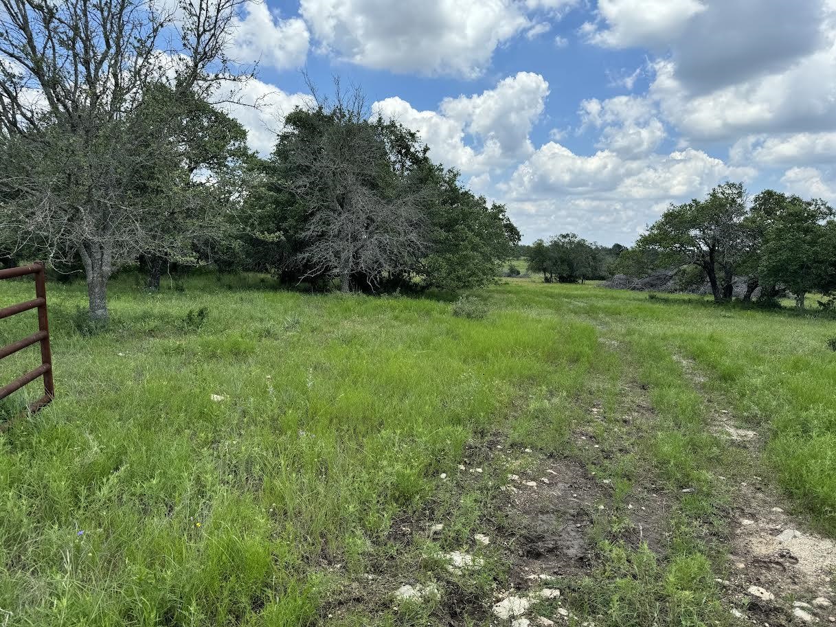 Tract 57 - 6 Miller Creek Ranch Property Photo 7