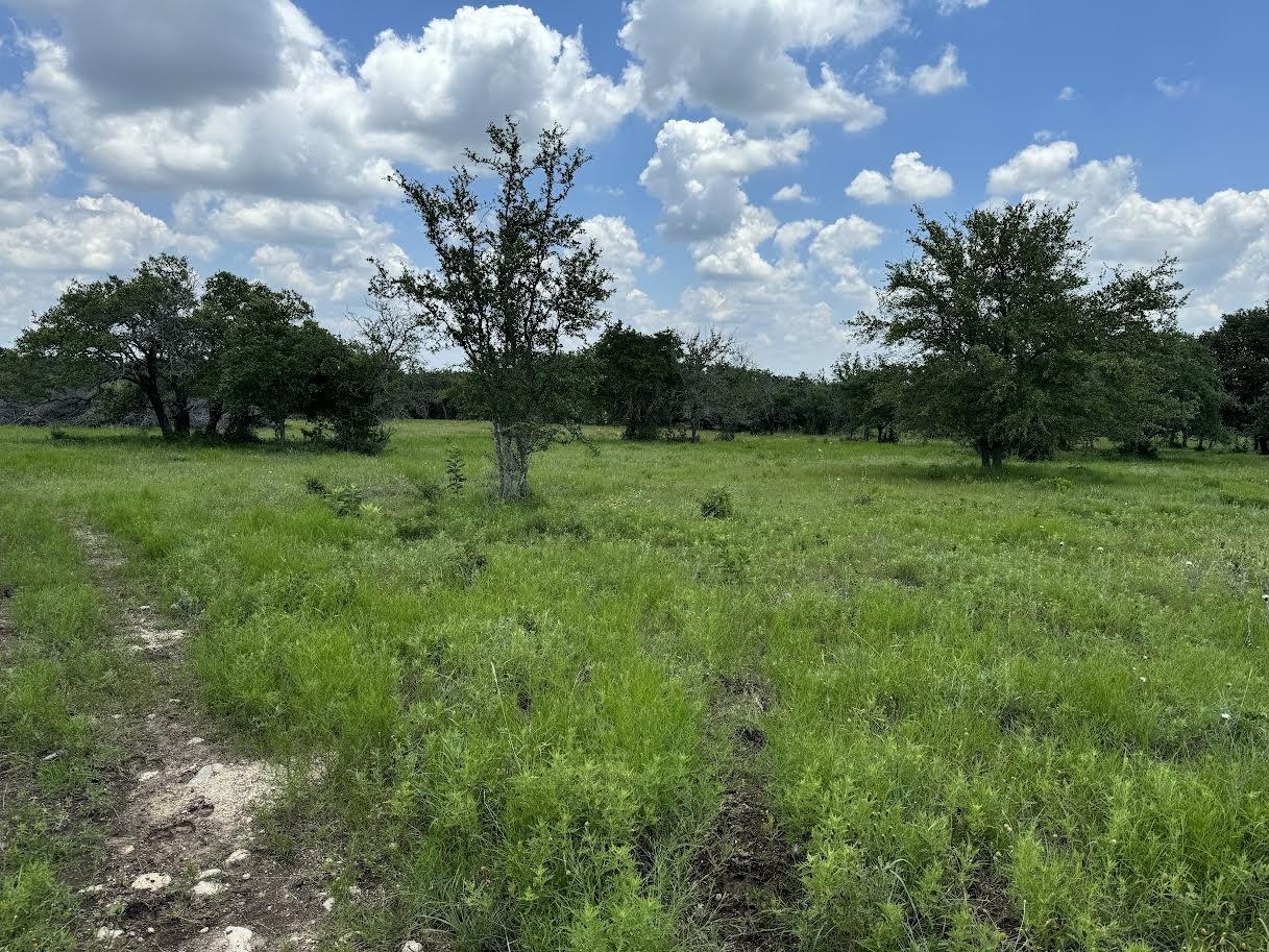 Tract 57 - 6 Miller Creek Ranch Property Photo 9