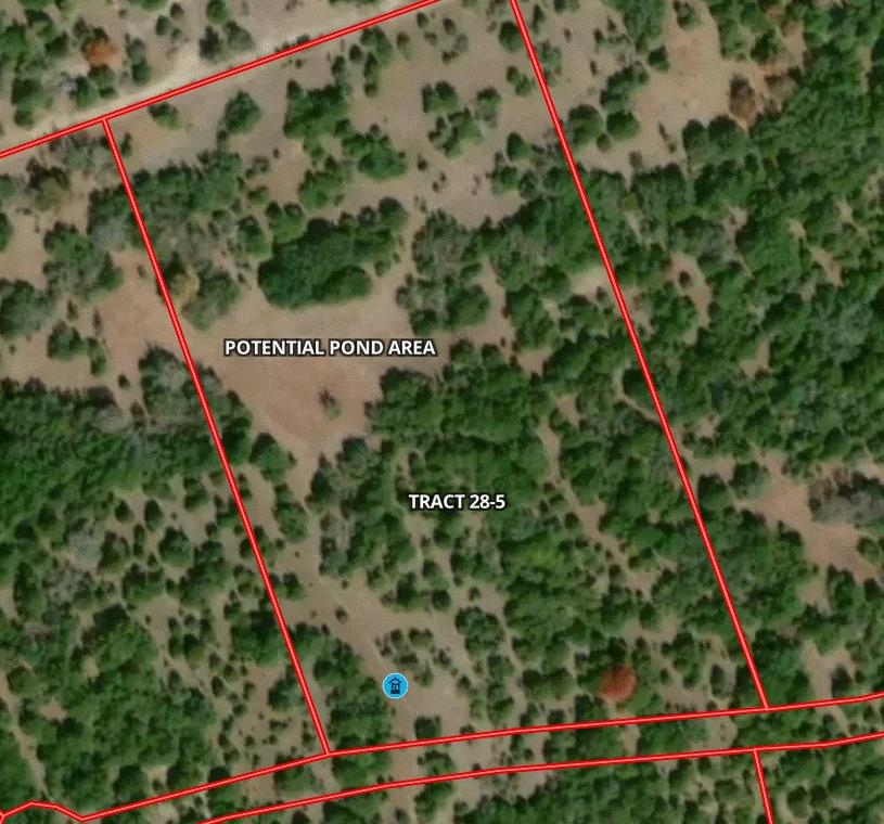 Tract 28 Miller Creek Ranch Property Photo 5