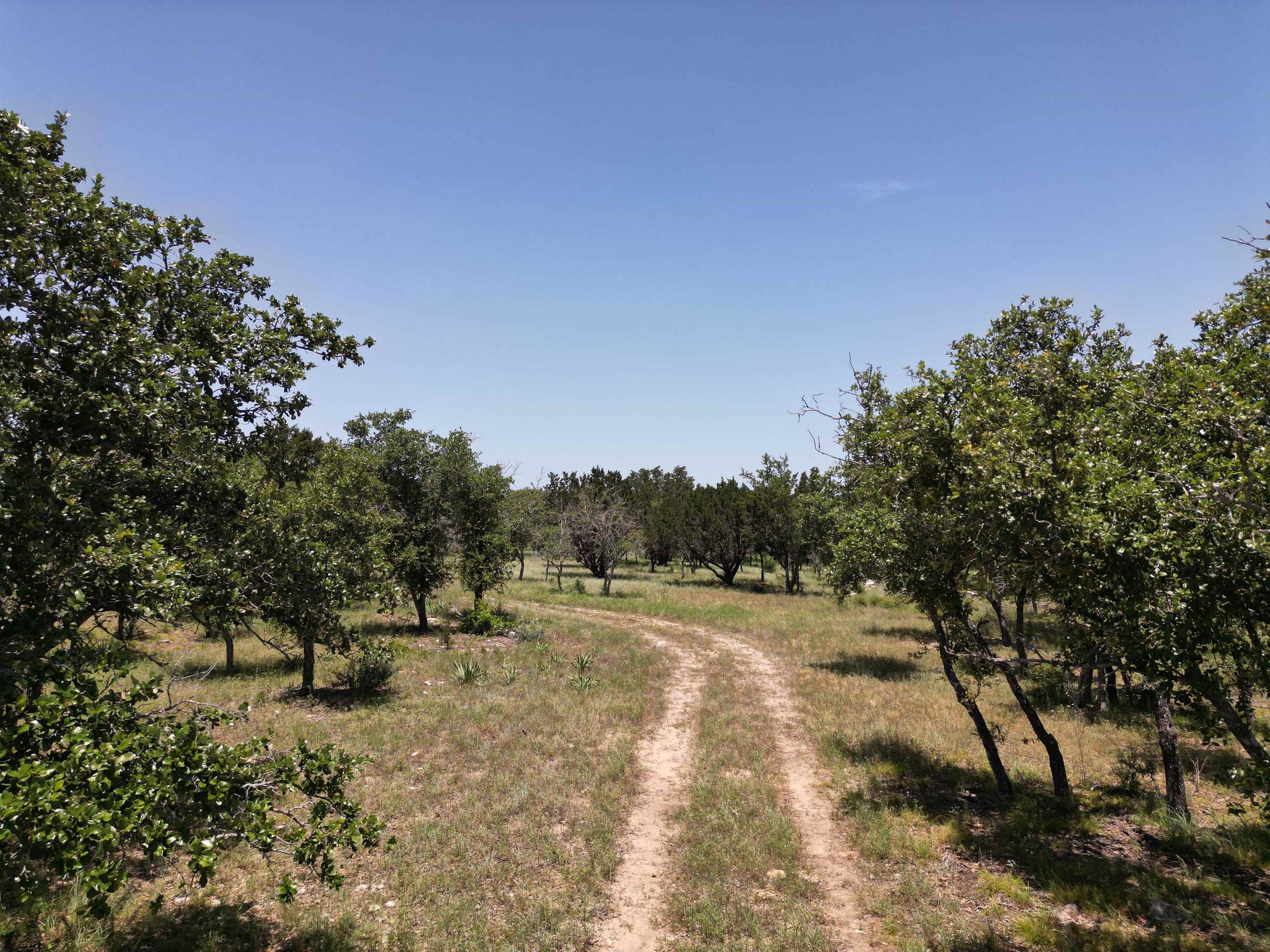 Tract 28 Miller Creek Ranch Property Photo 7