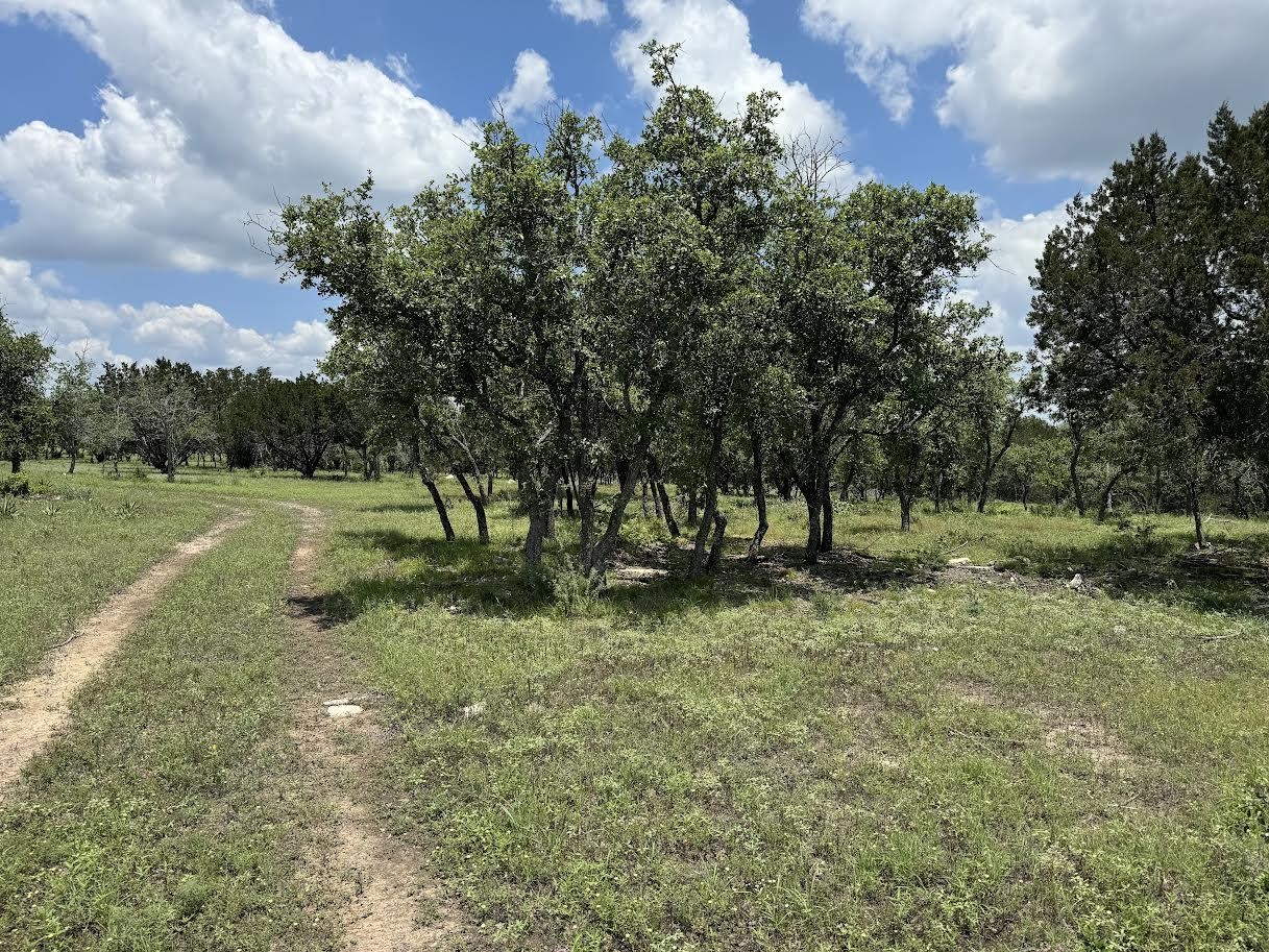 Tract 28 Miller Creek Ranch Property Photo 10
