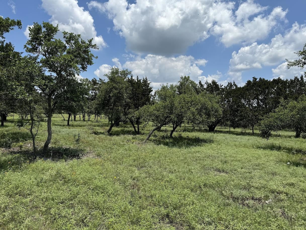 Tract 28 Miller Creek Ranch Property Photo 11
