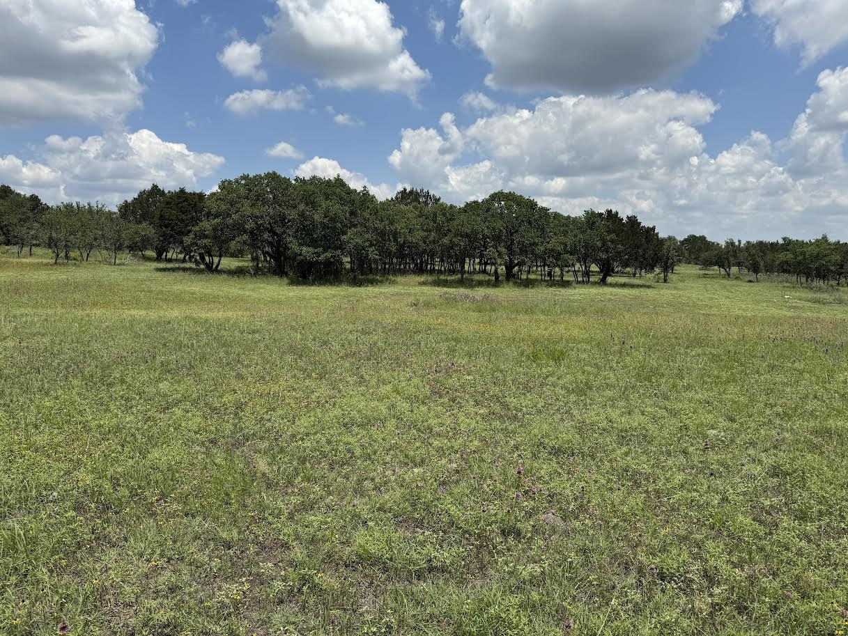 Tract 28 Miller Creek Ranch Property Photo 12