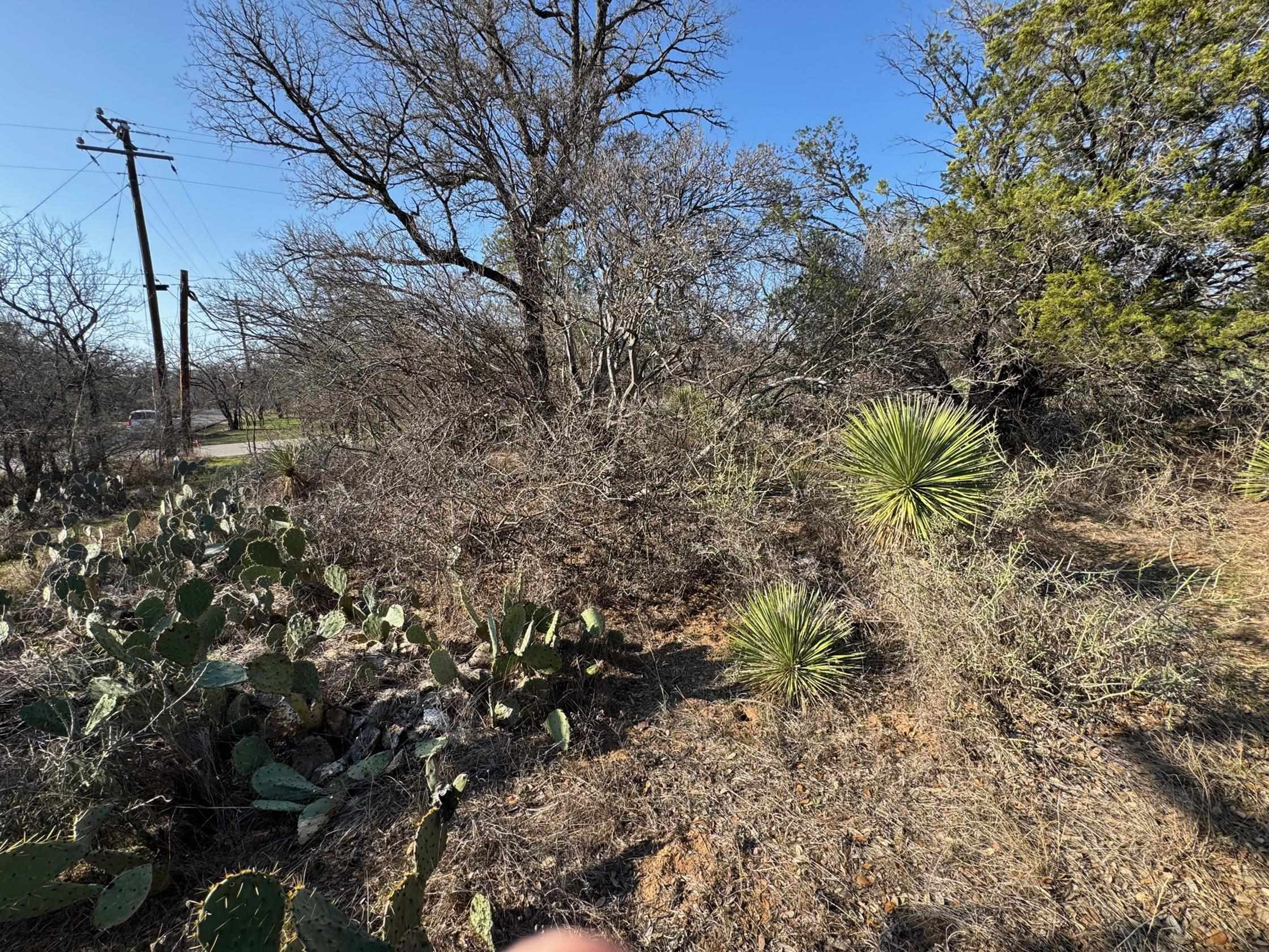 Lot 268 Valley View Lane Property Photo 3