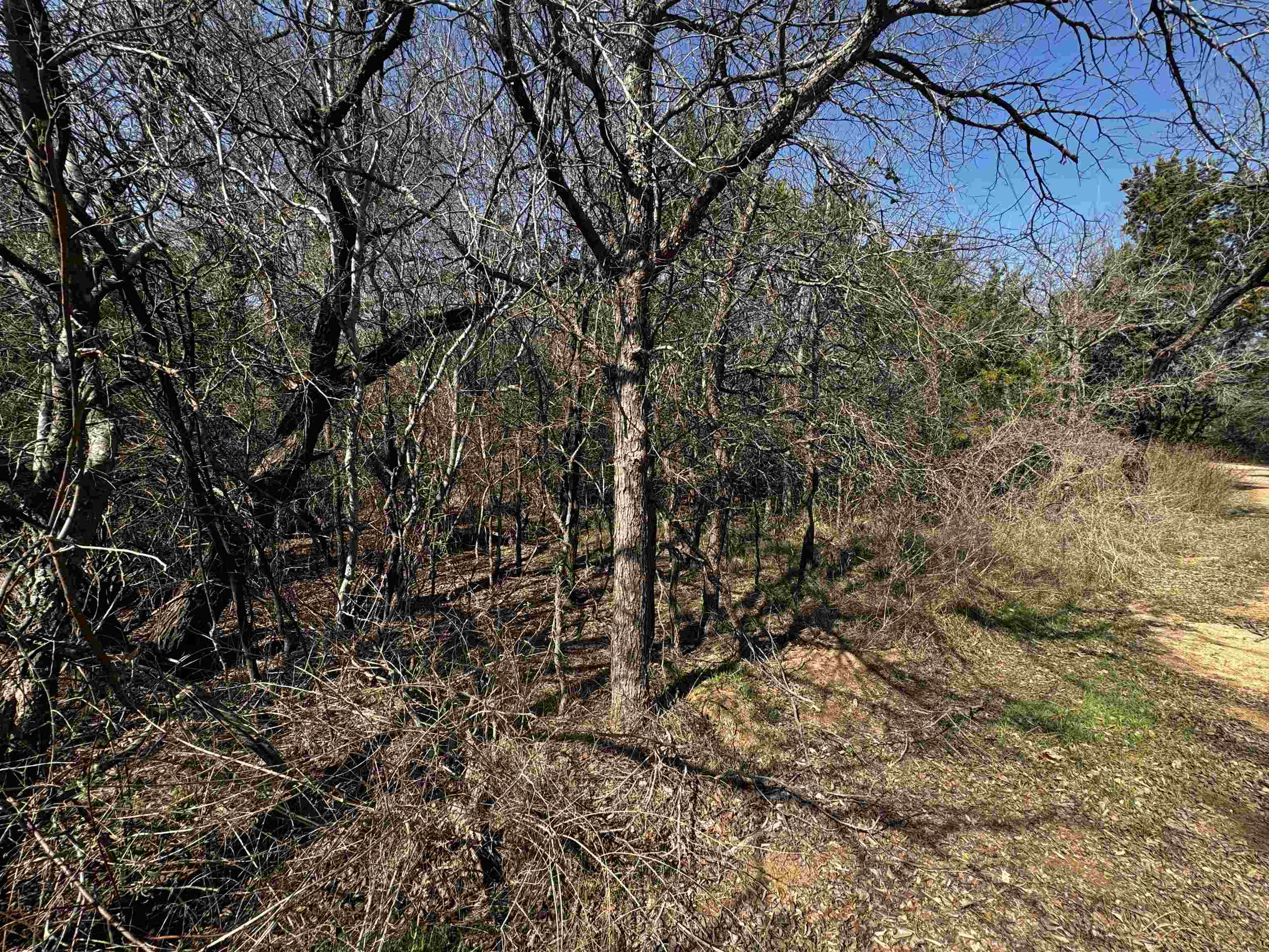 Lot 12 Longhorn Dr. Property Photo 2