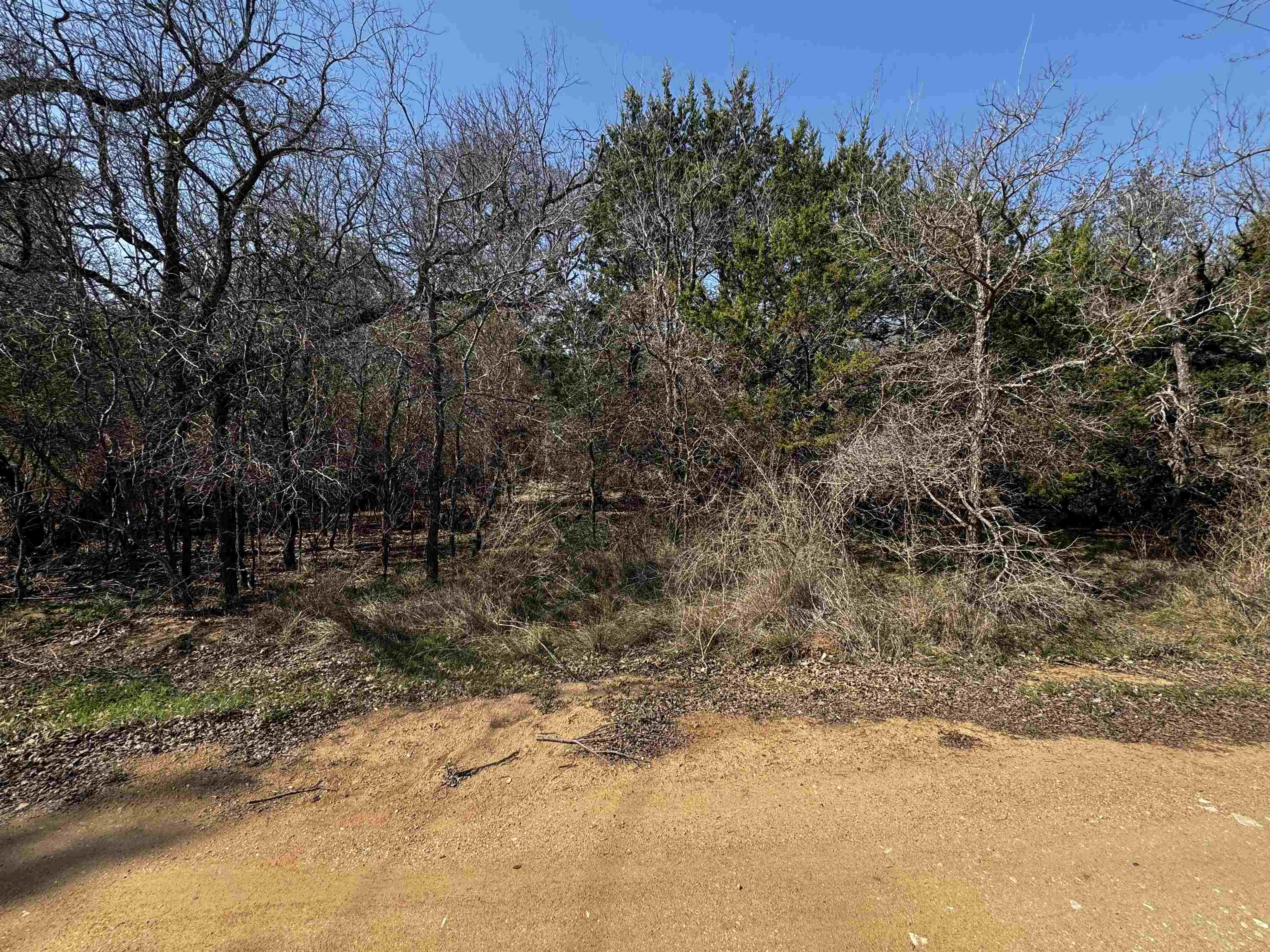Lot 12 Longhorn Dr. Property Photo 4