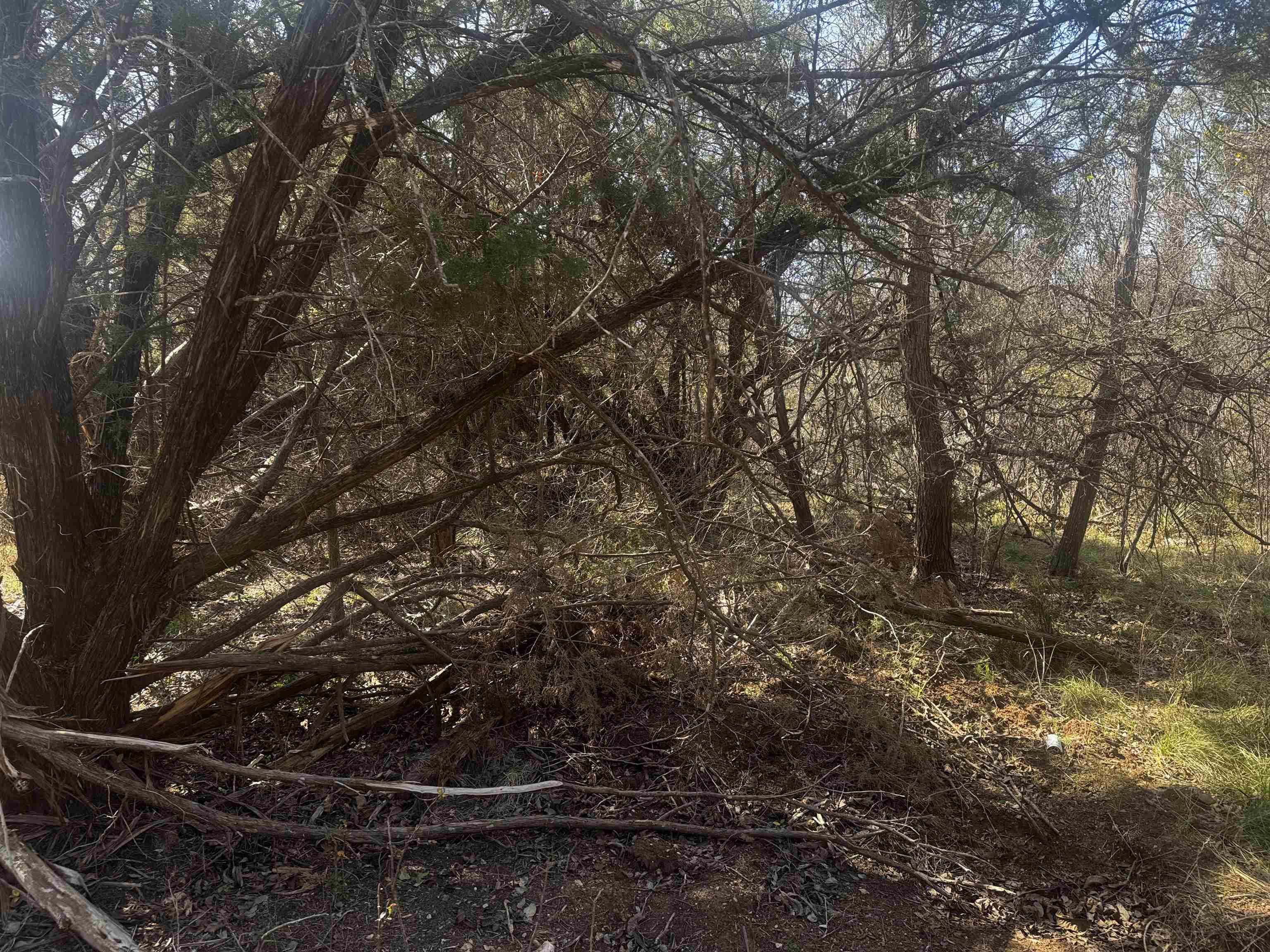 Lot 12 Longhorn Dr. Property Photo 5