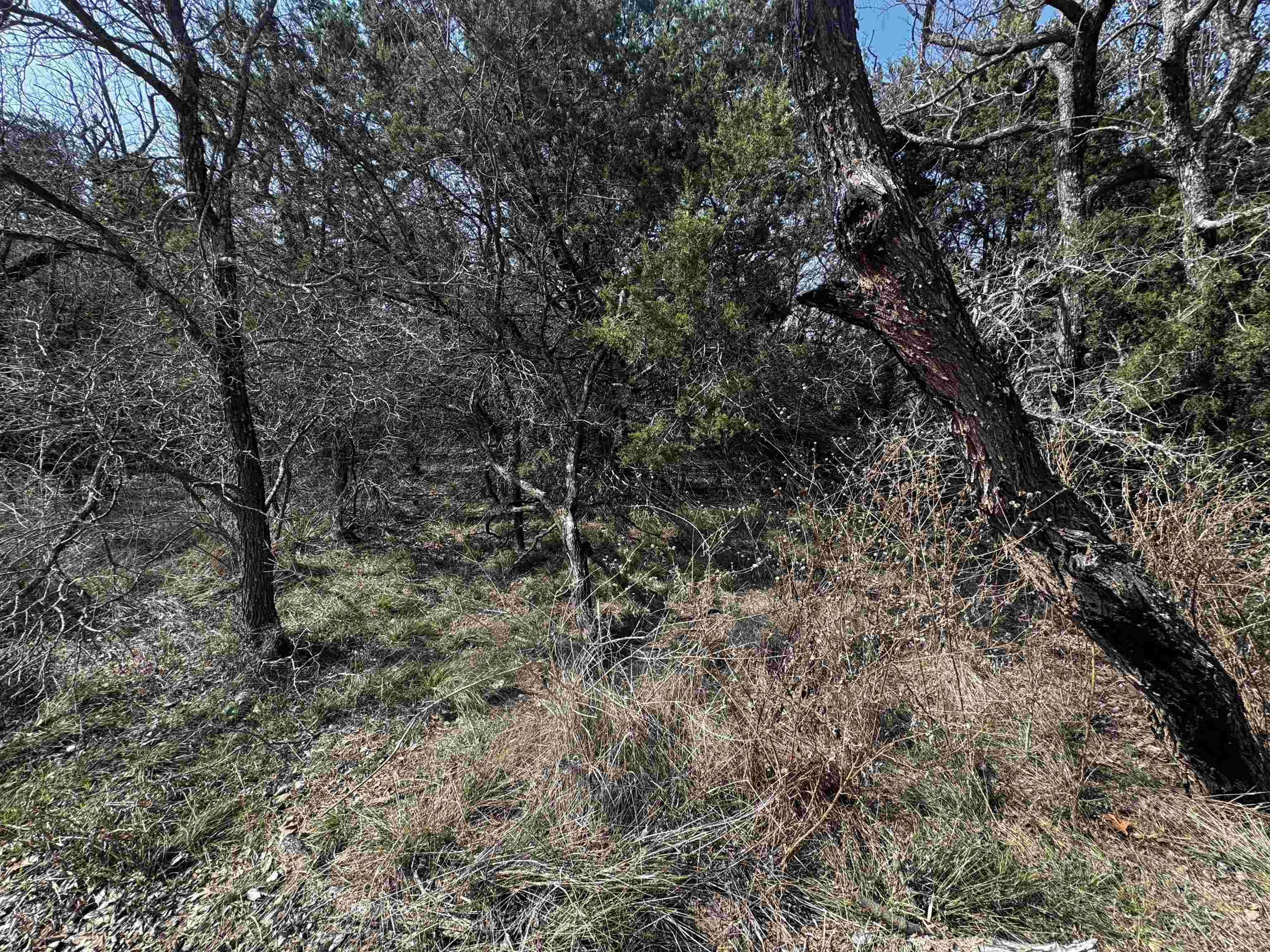 Lot 12 Longhorn Dr. Property Photo 10