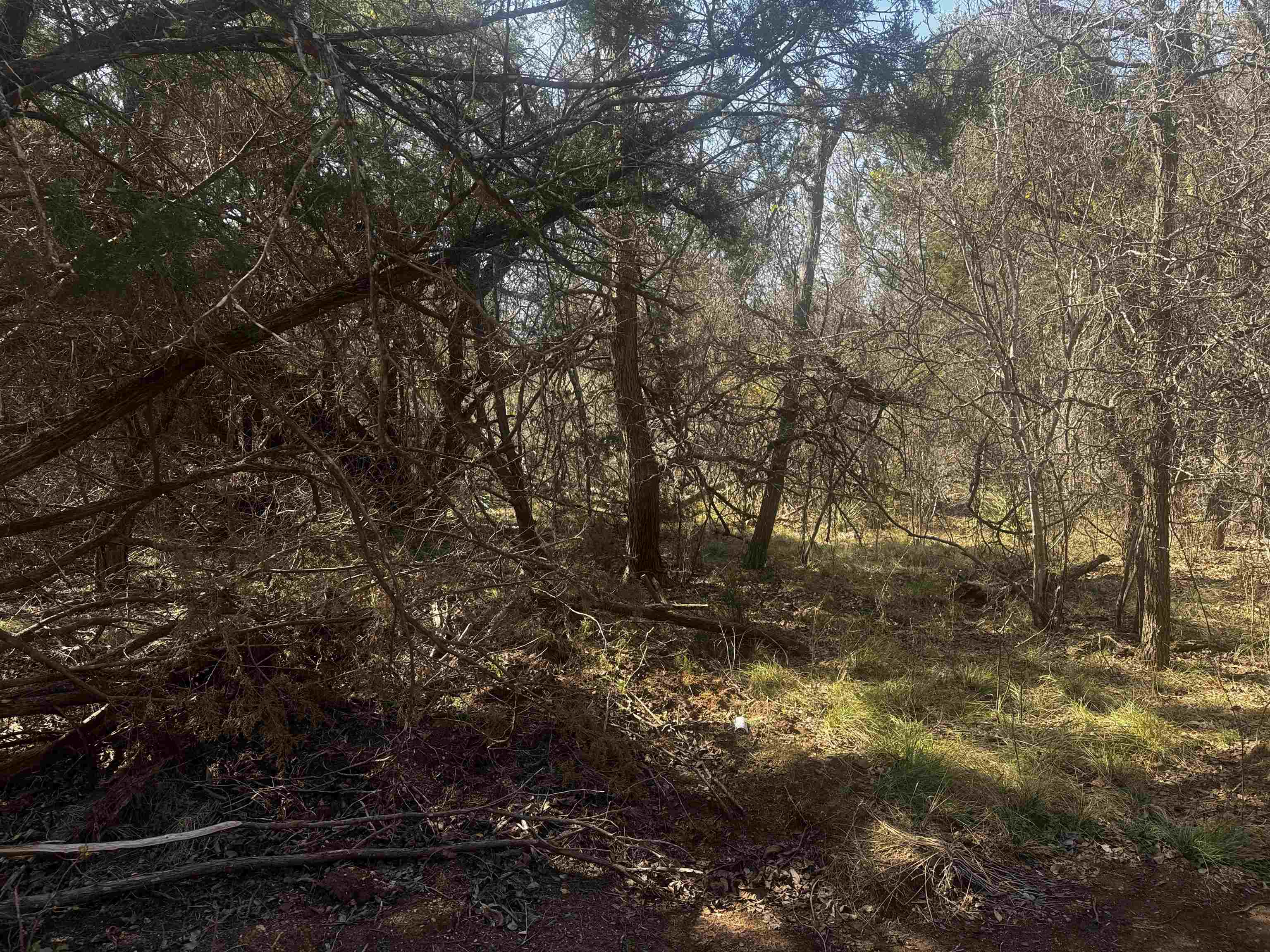 Lot 12 Longhorn Dr. Property Photo 11