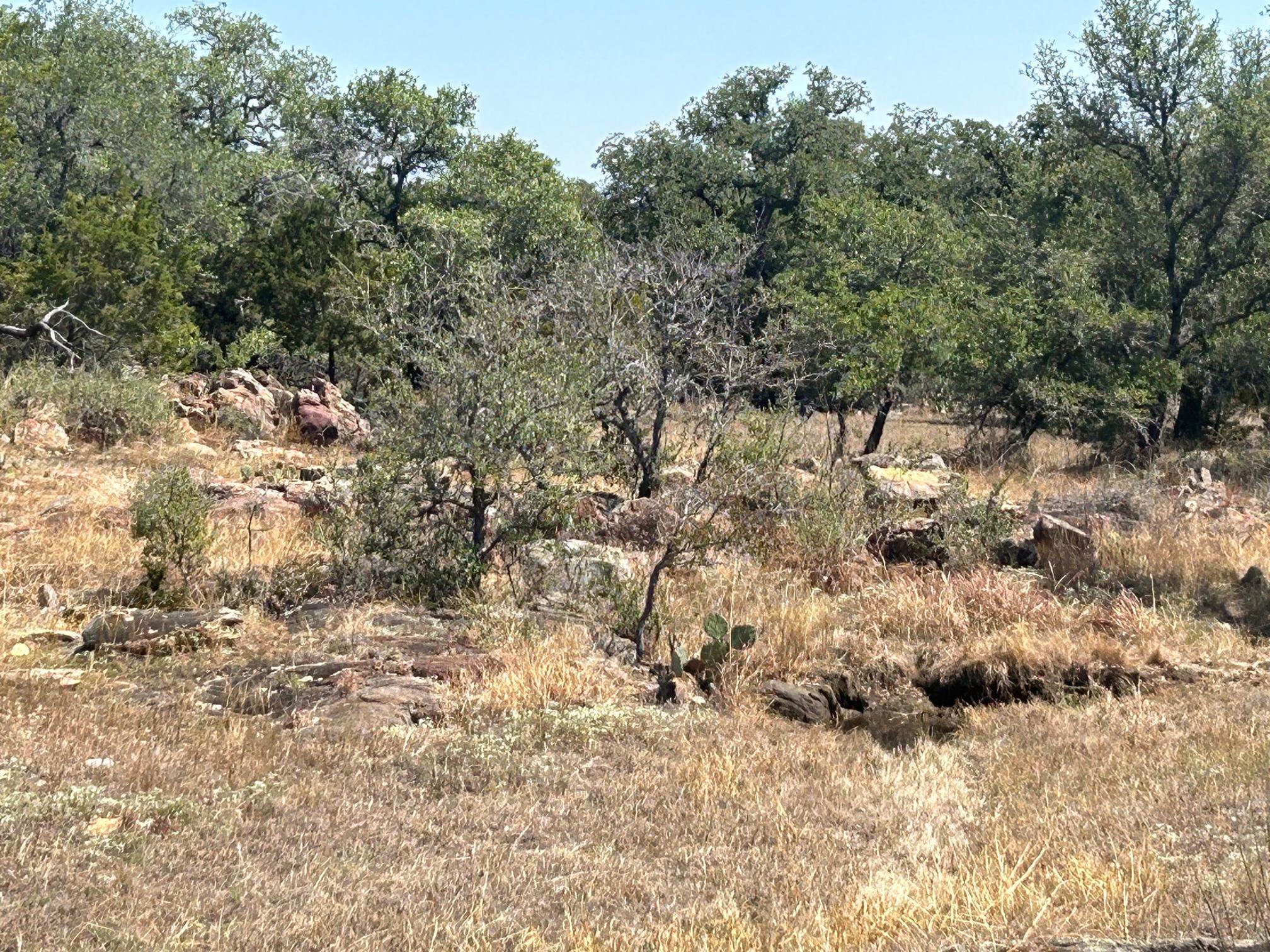 105 Topaz Property Photo 4