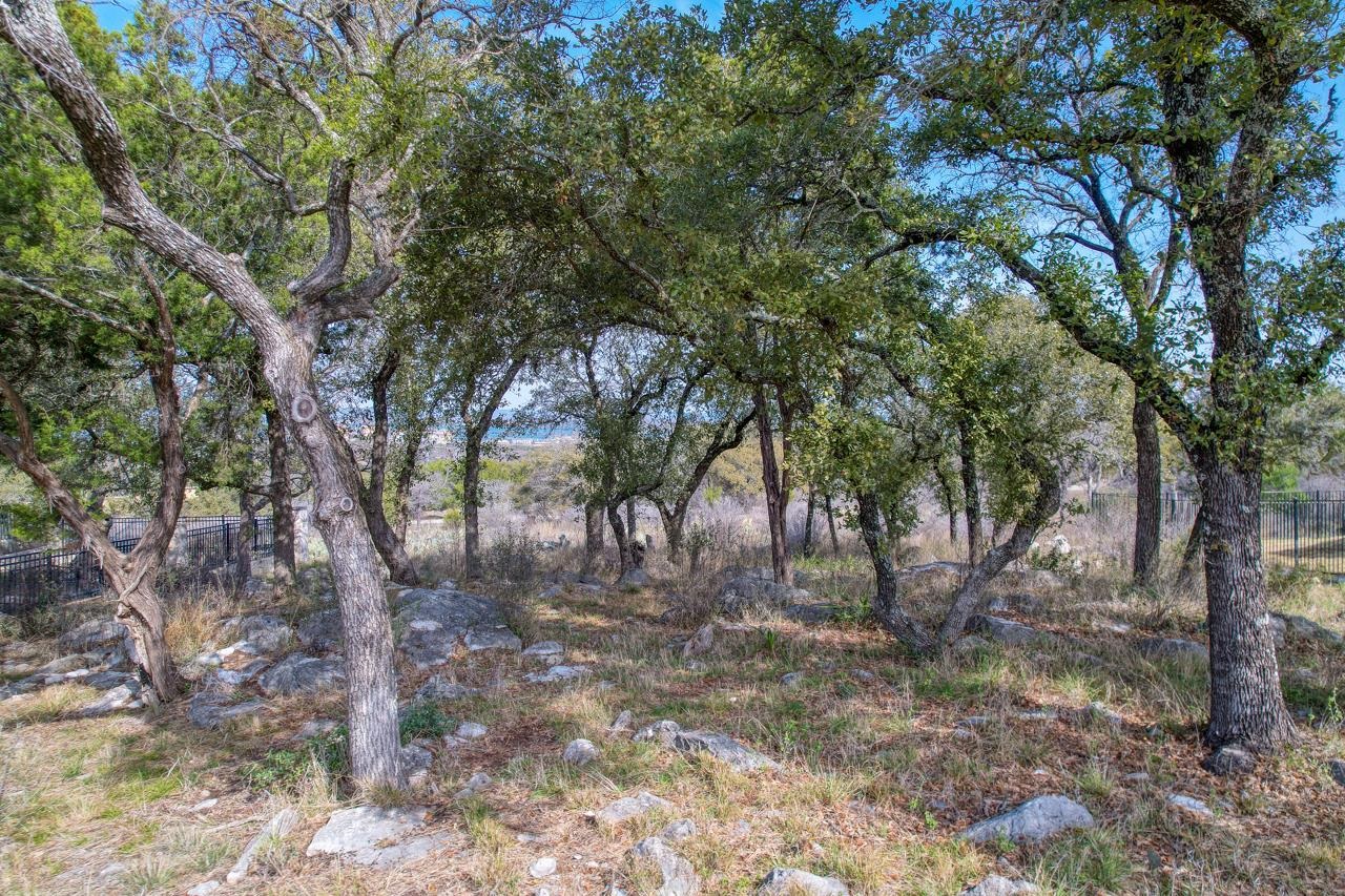 Tbd Mountain Dew Property Photo 17