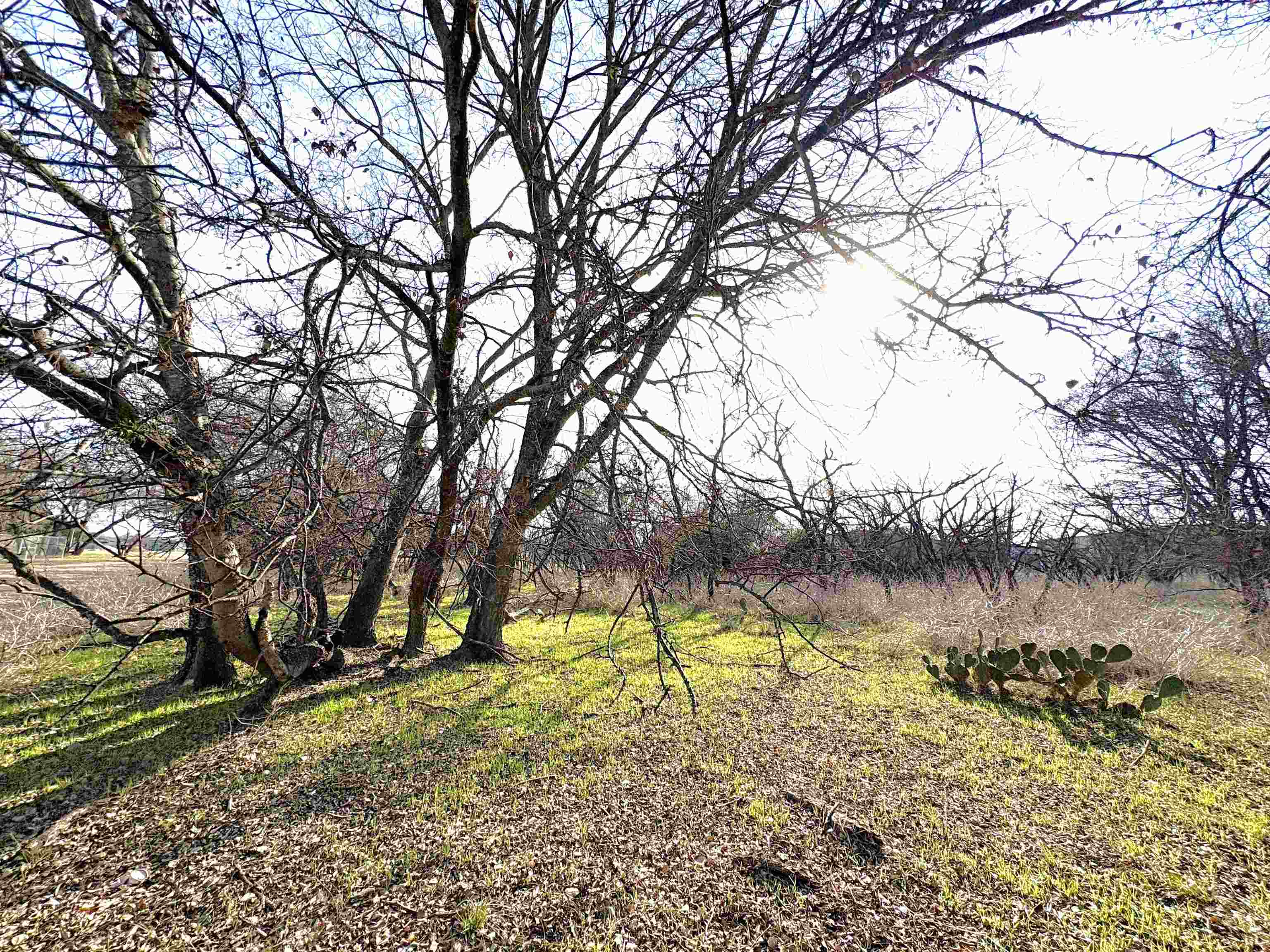 Tbd Granite Shoals Dr Property Photo 2
