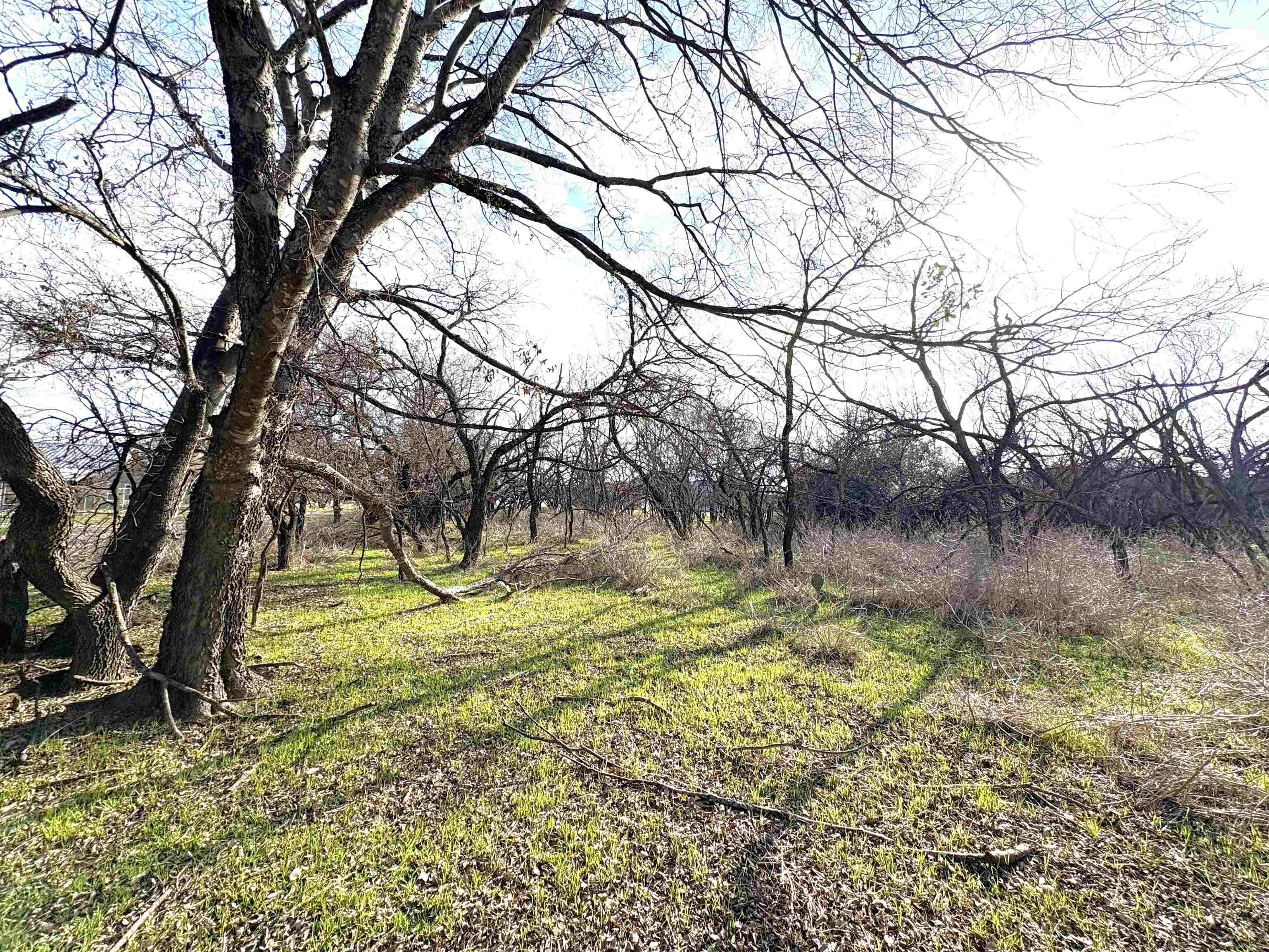 Tbd Granite Shoals Dr Property Photo 3