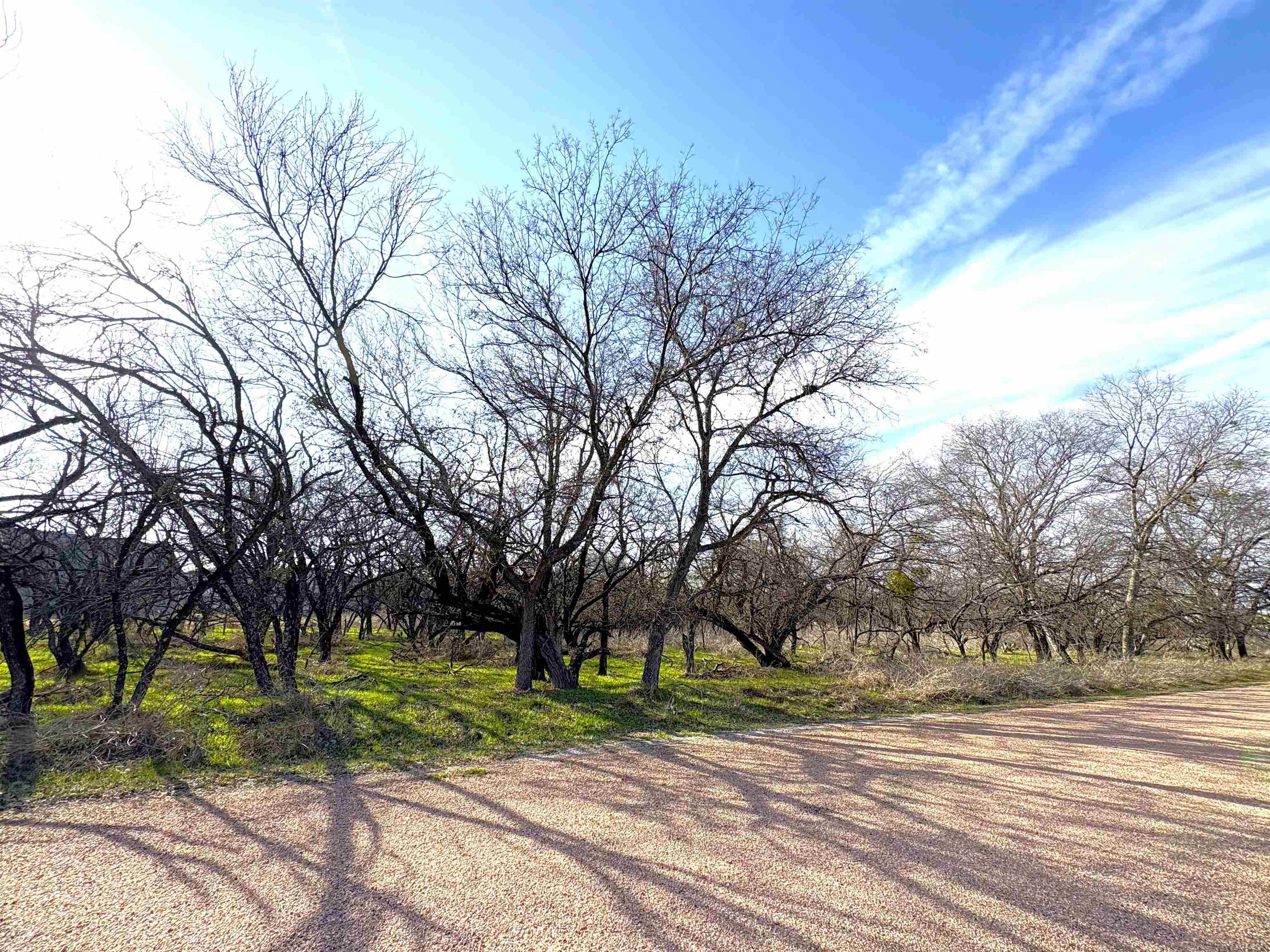 Tbd Granite Shoals Dr Property Photo 6