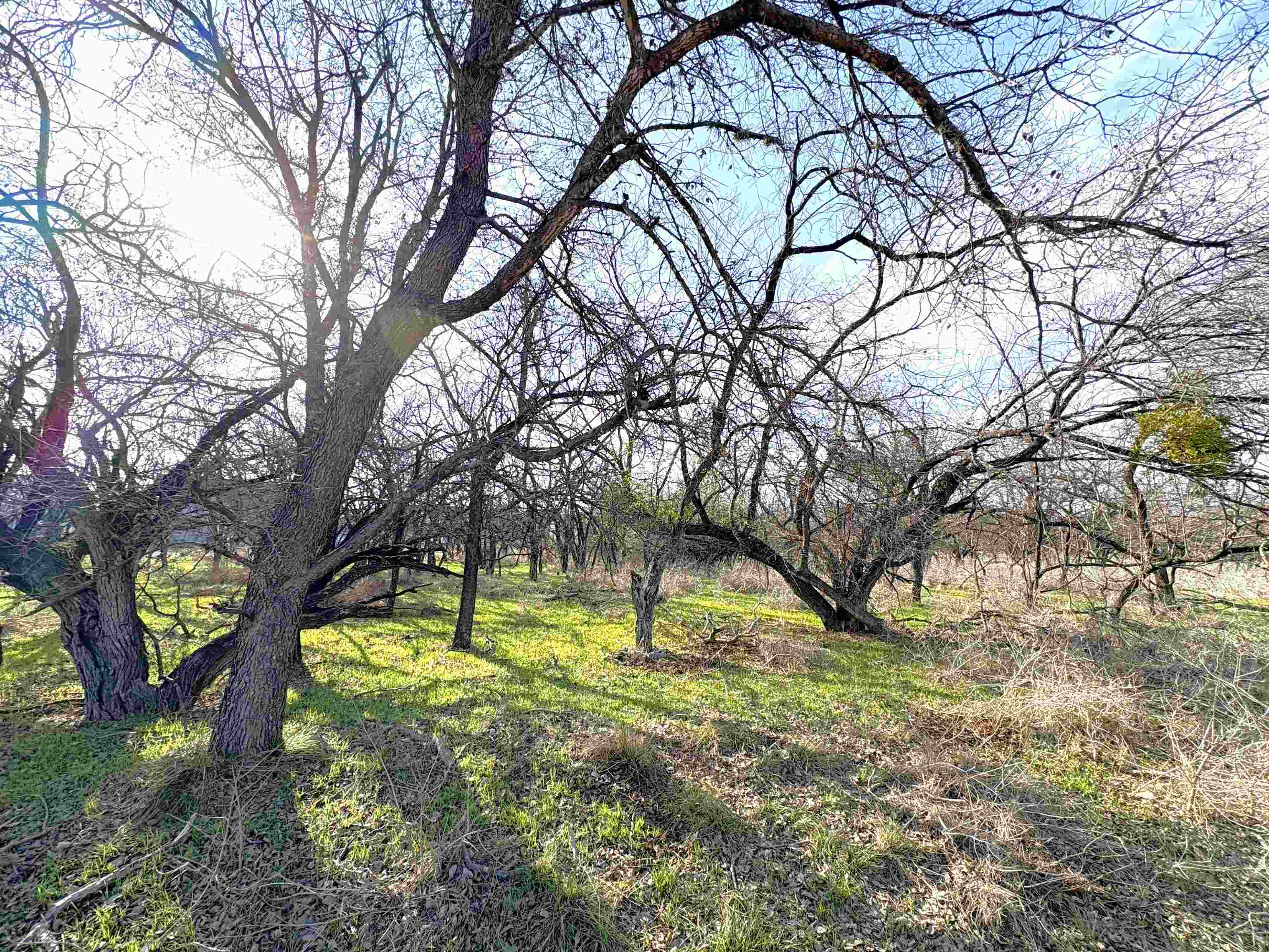 Tbd Granite Shoals Dr Property Photo 7