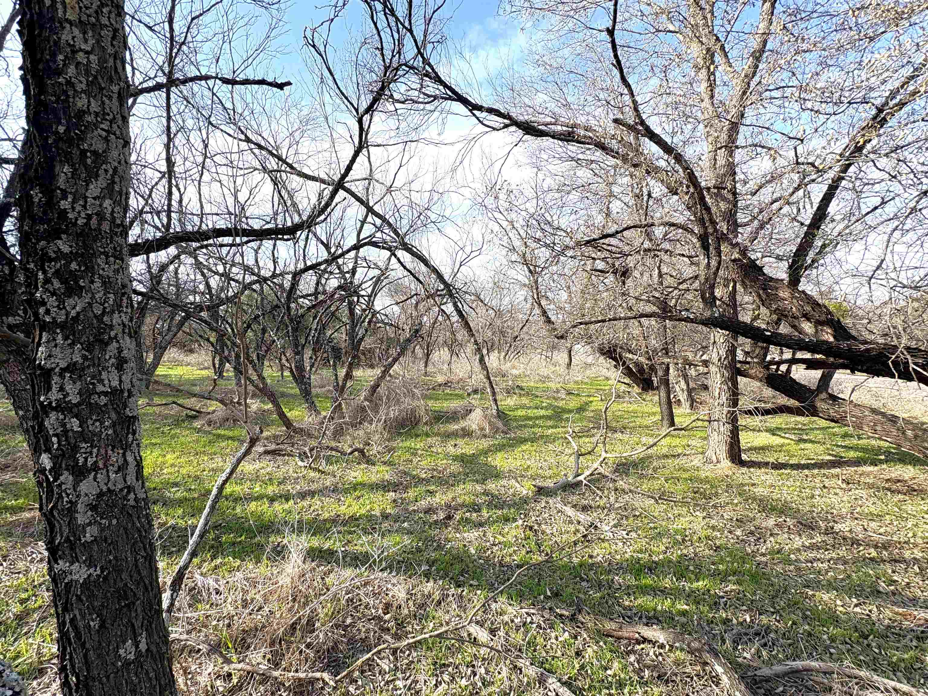 Tbd Granite Shoals Dr Property Photo 8